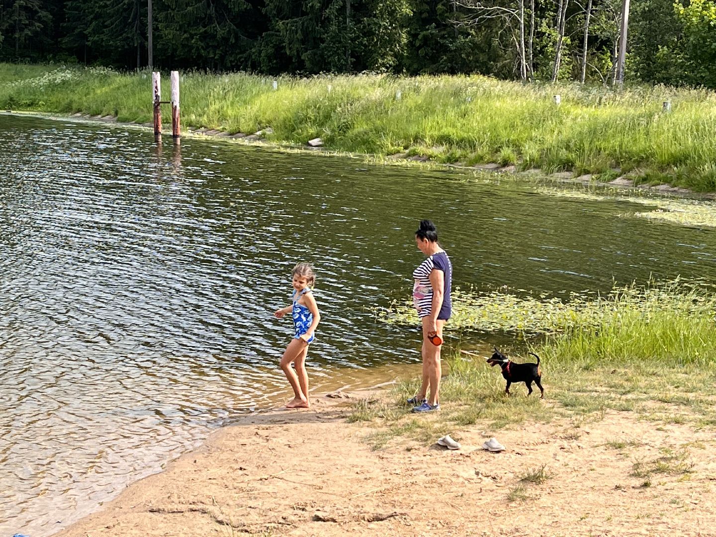 Шаховская, отдых, плотина, песок