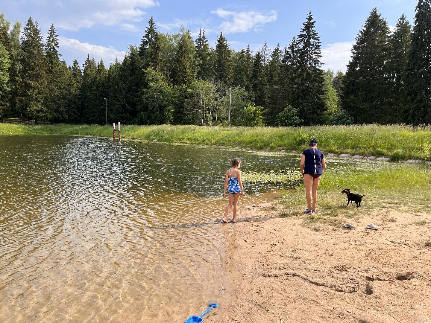 Шаховская, отдых, плотина, песок