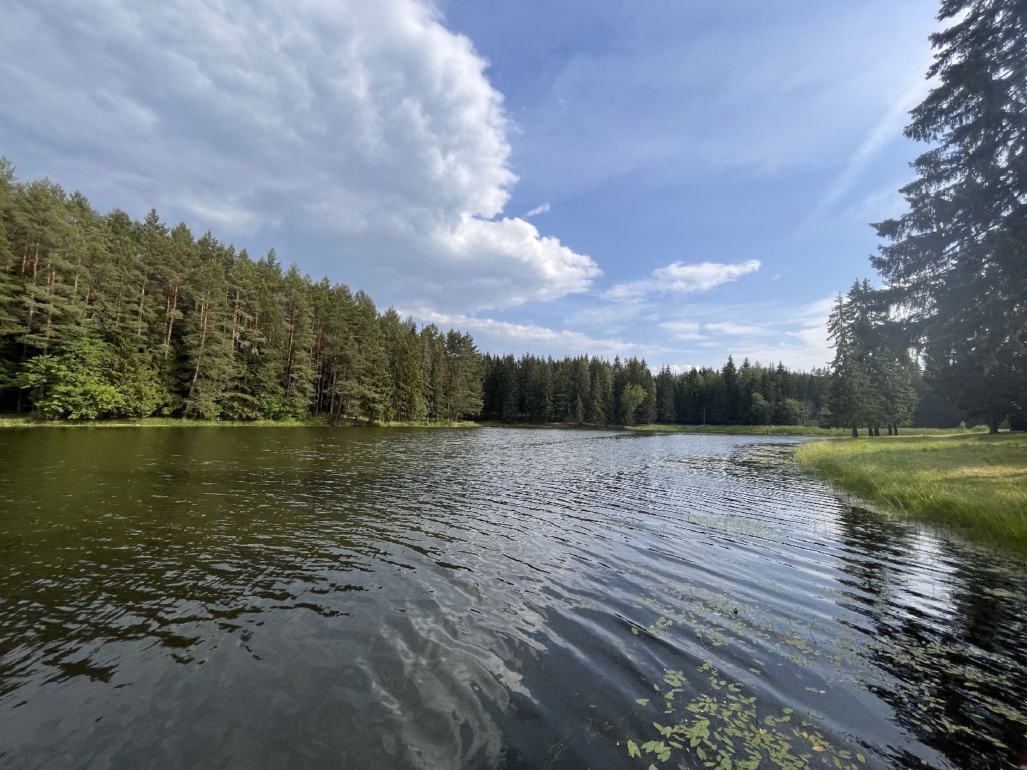 Шаховская, отдых, плотина, песок