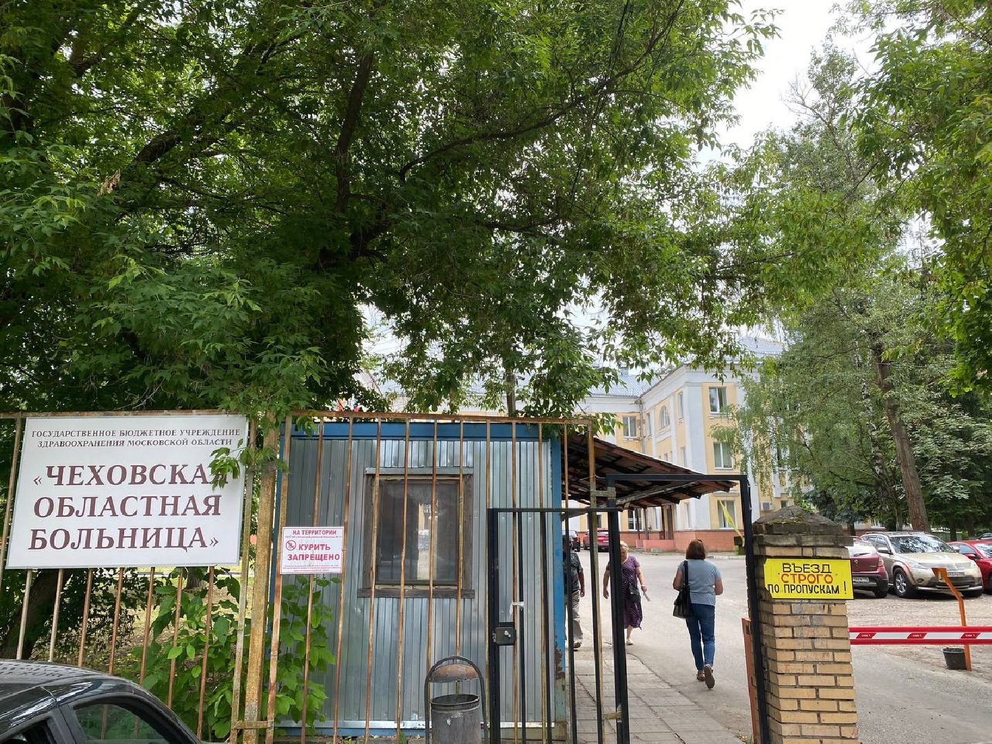 Чехов, медицина, врач, почетная грамота, министр здравоохранения, награда