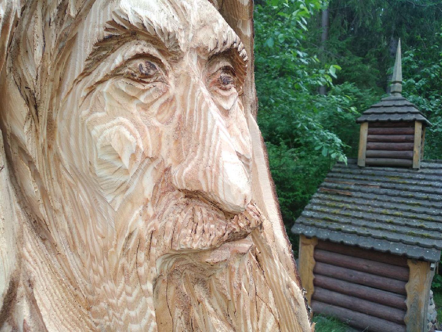 Дмитров, деревня Свистуха, Комитет лесного хозяйства МО