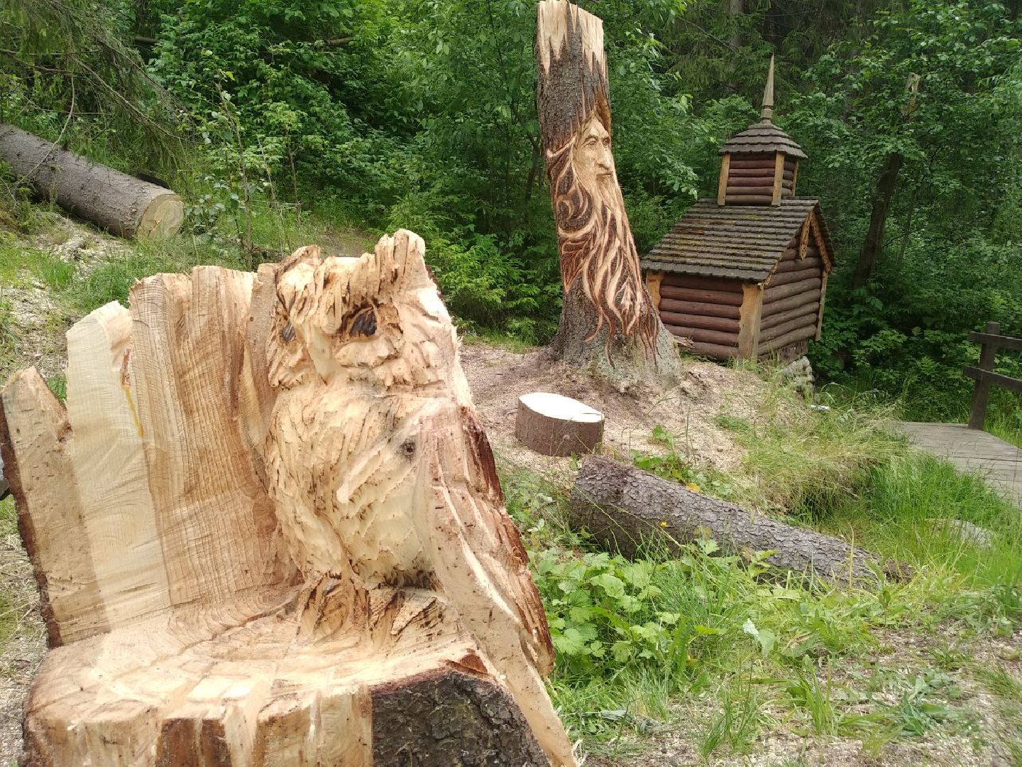 Дмитров, деревня Свистуха, Комитет лесного хозяйства МО