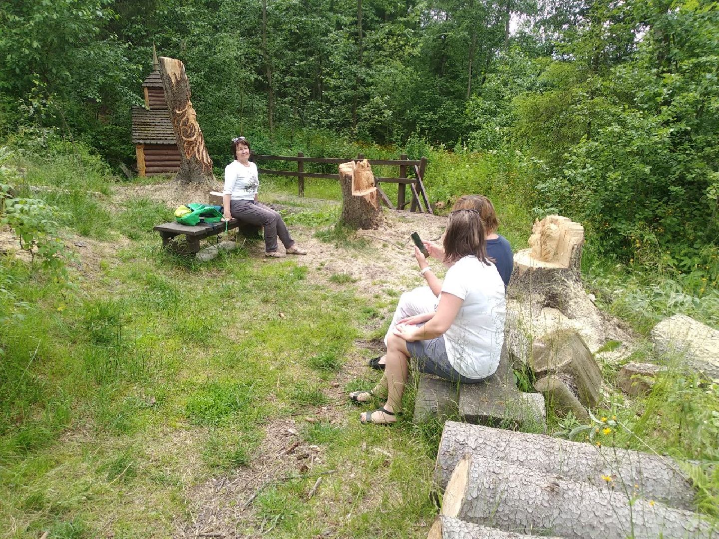 Дмитров, деревня Свистуха, Комитет лесного хозяйства МО