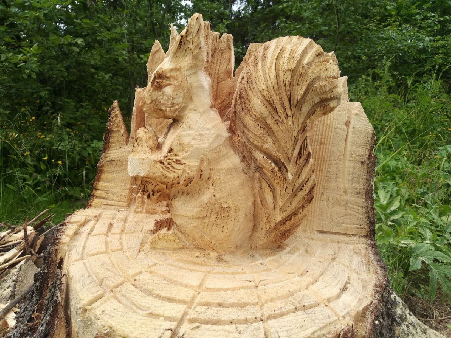 Дмитров, деревня Свистуха, Комитет лесного хозяйства МО