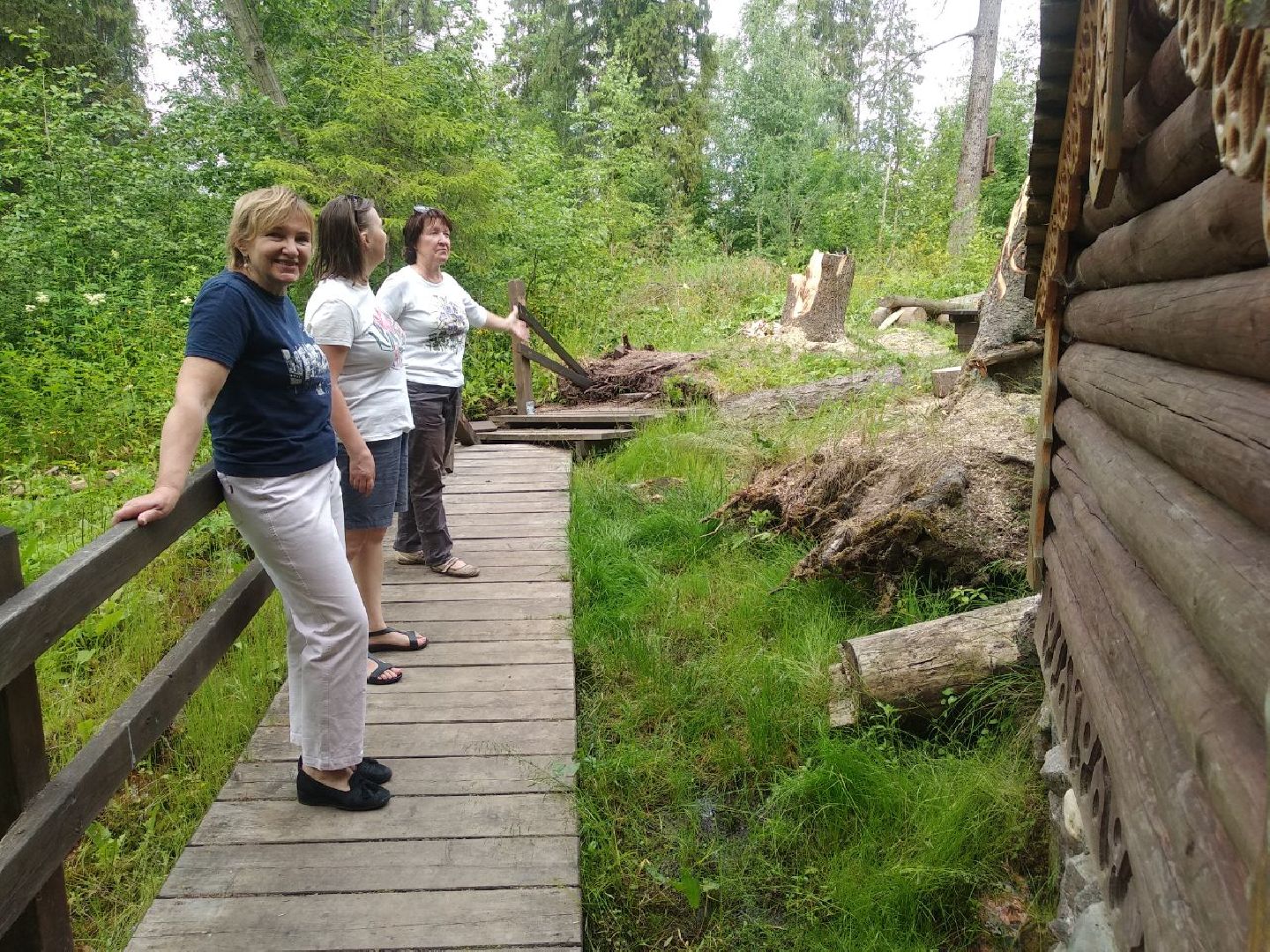Дмитров, деревня Свистуха, Комитет лесного хозяйства МО