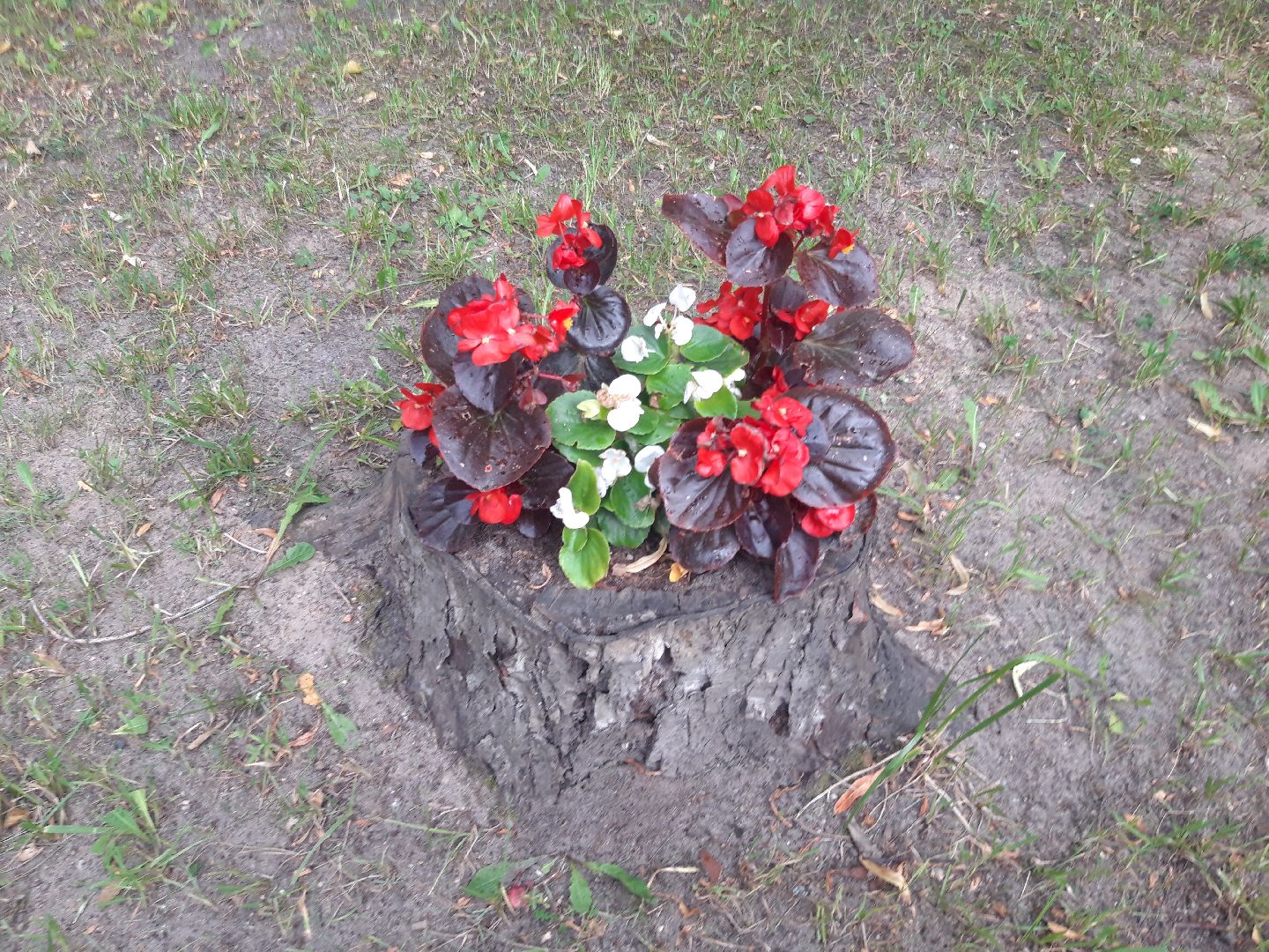 двор, доброе дело,