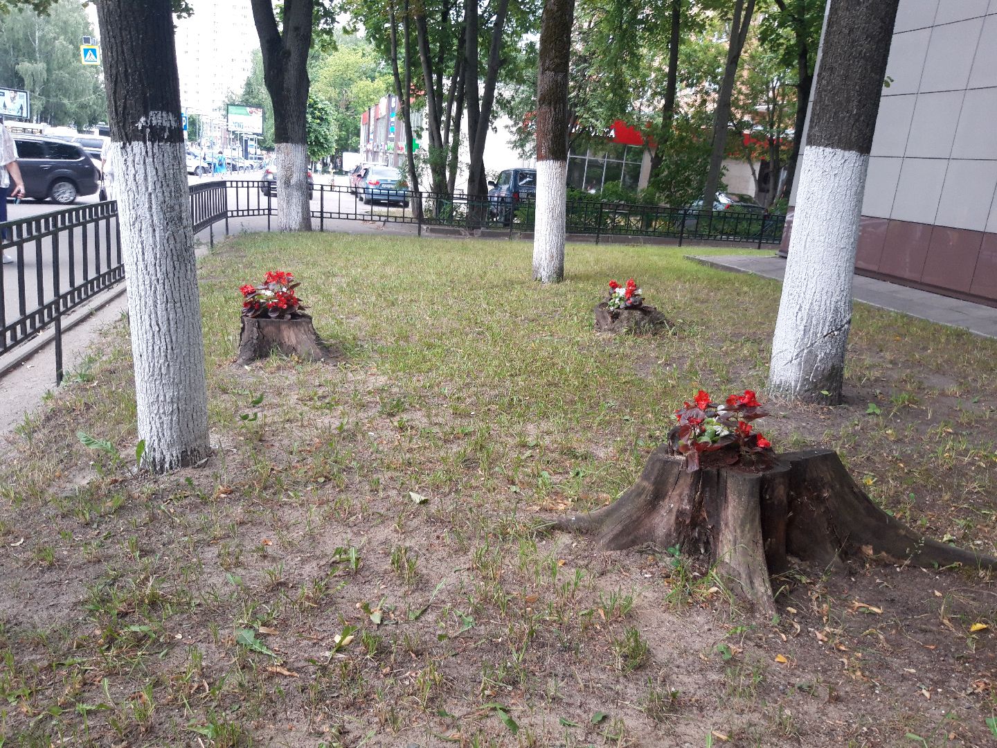 двор, доброе дело,