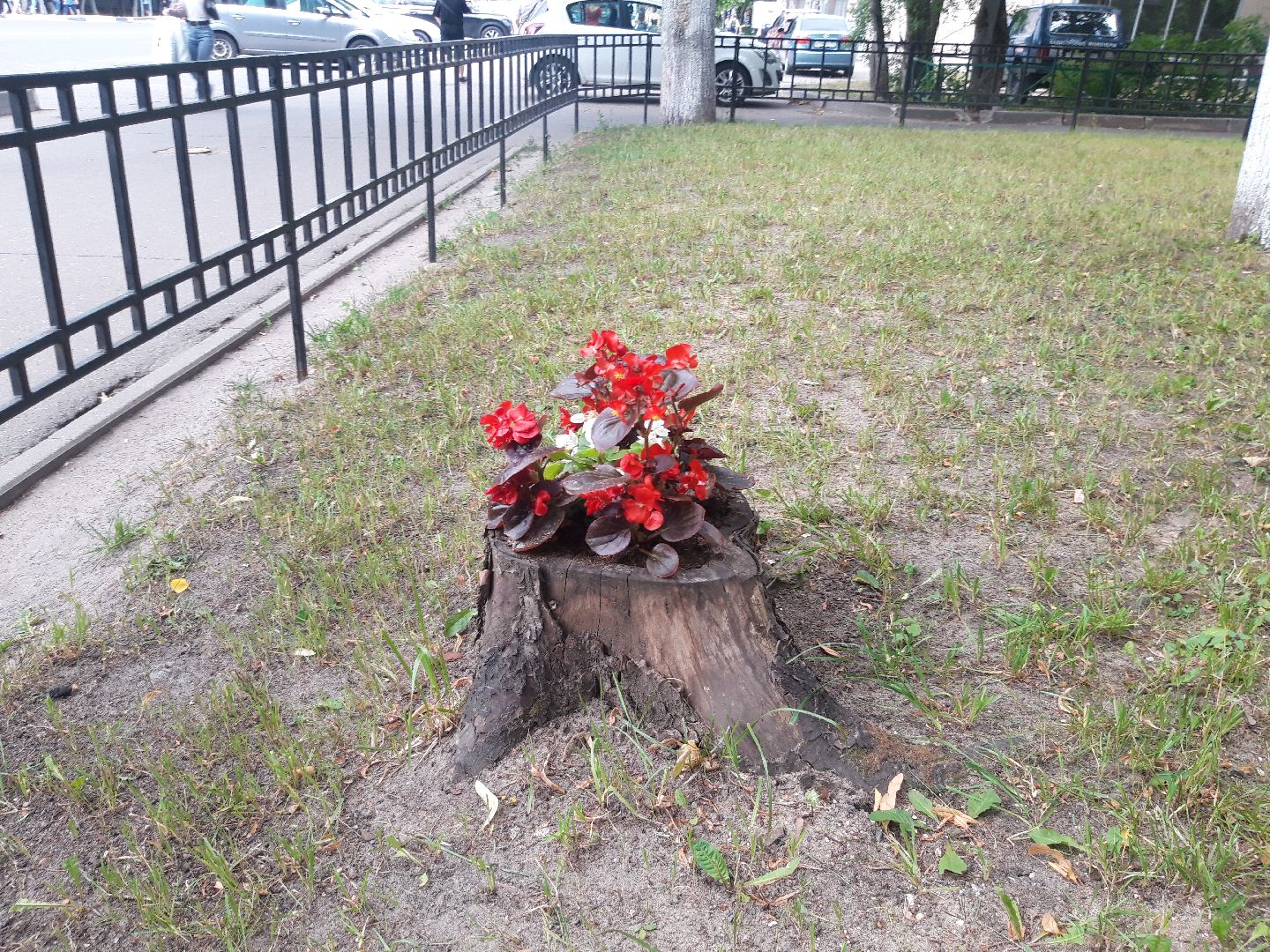 двор, доброе дело,