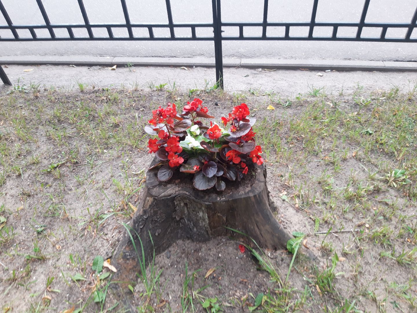 двор, доброе дело,