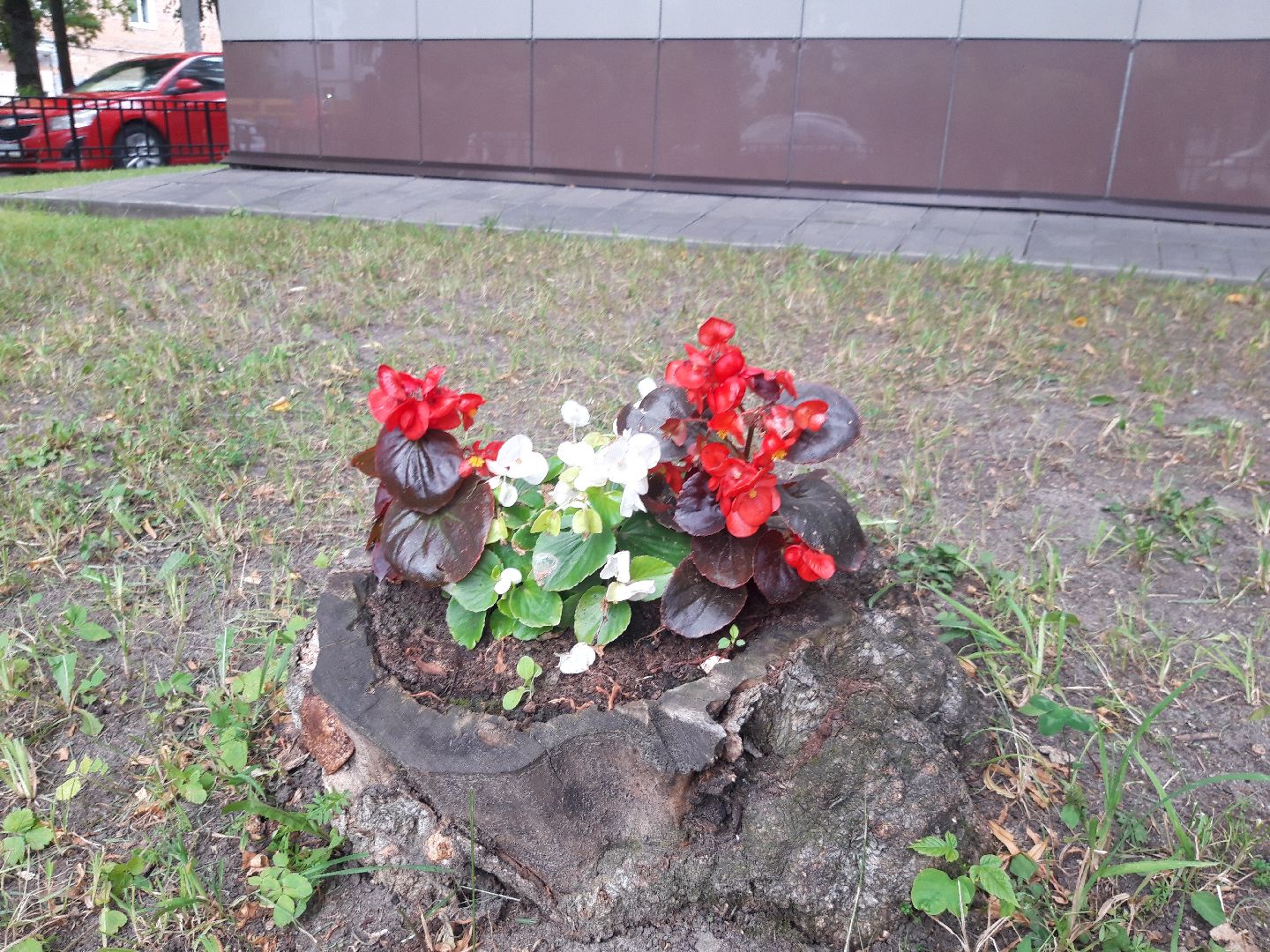 двор, доброе дело,