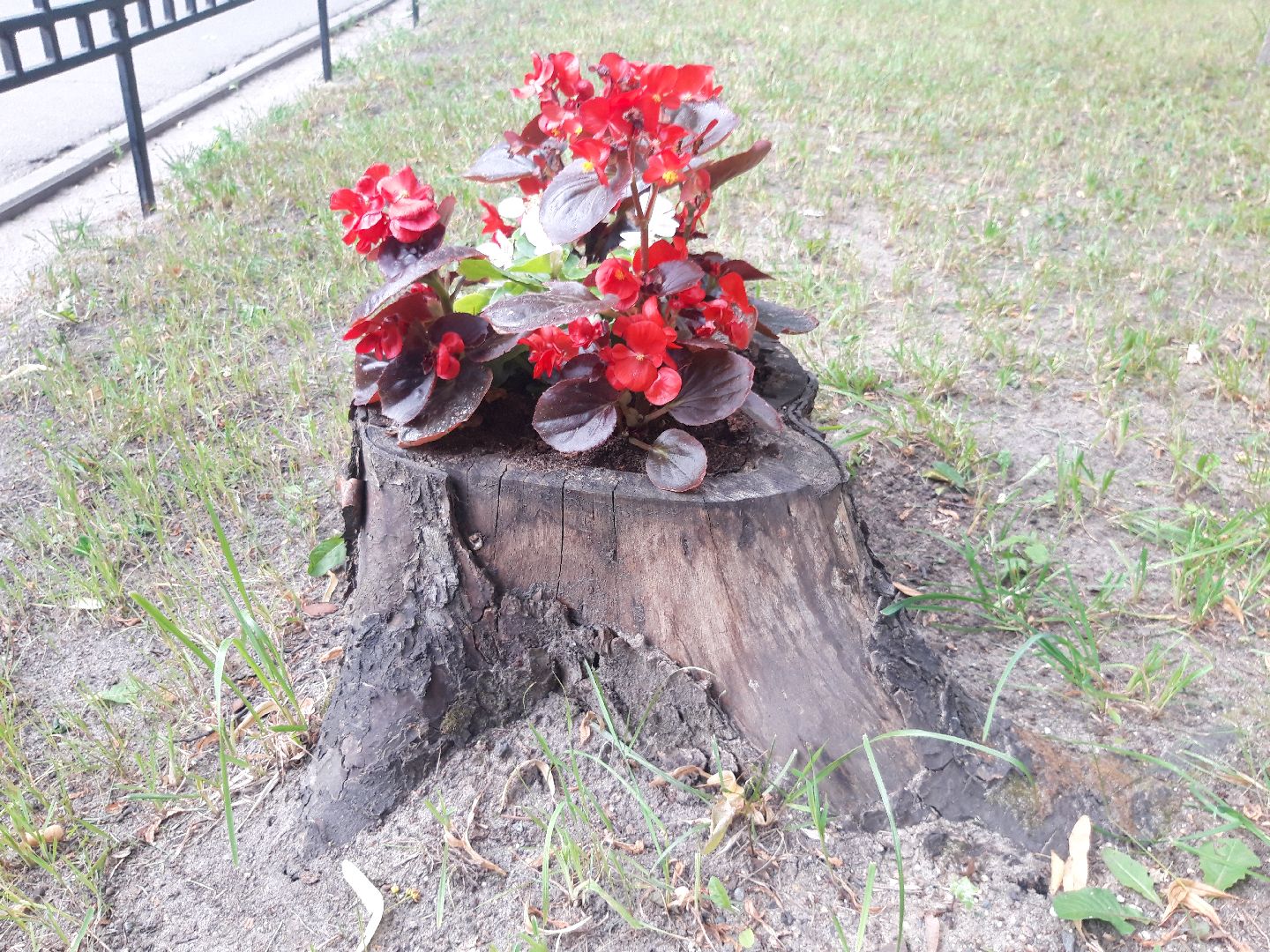 двор, доброе дело,