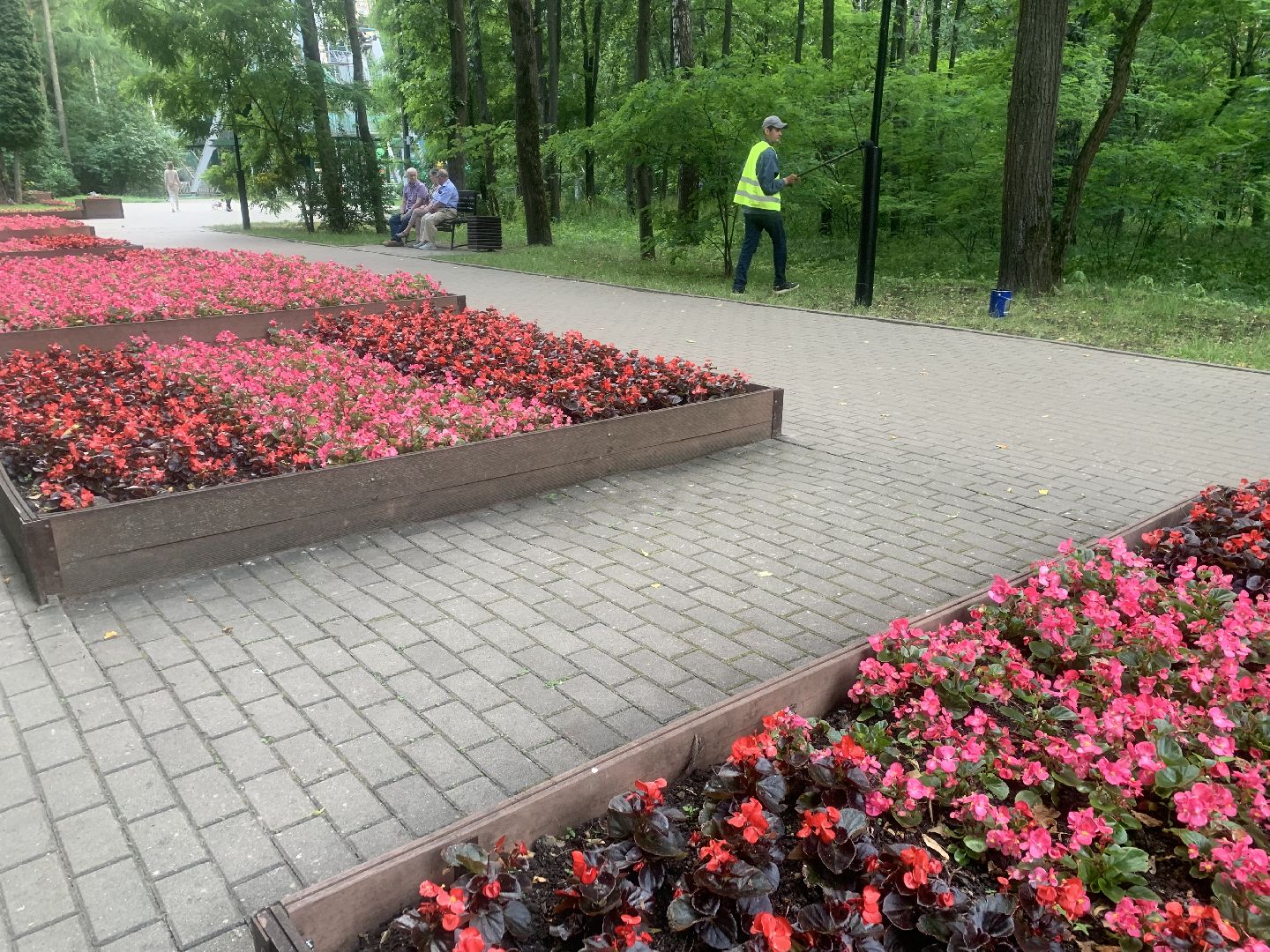 Парки, благоустройство, лето в подмосковье,Городской парк