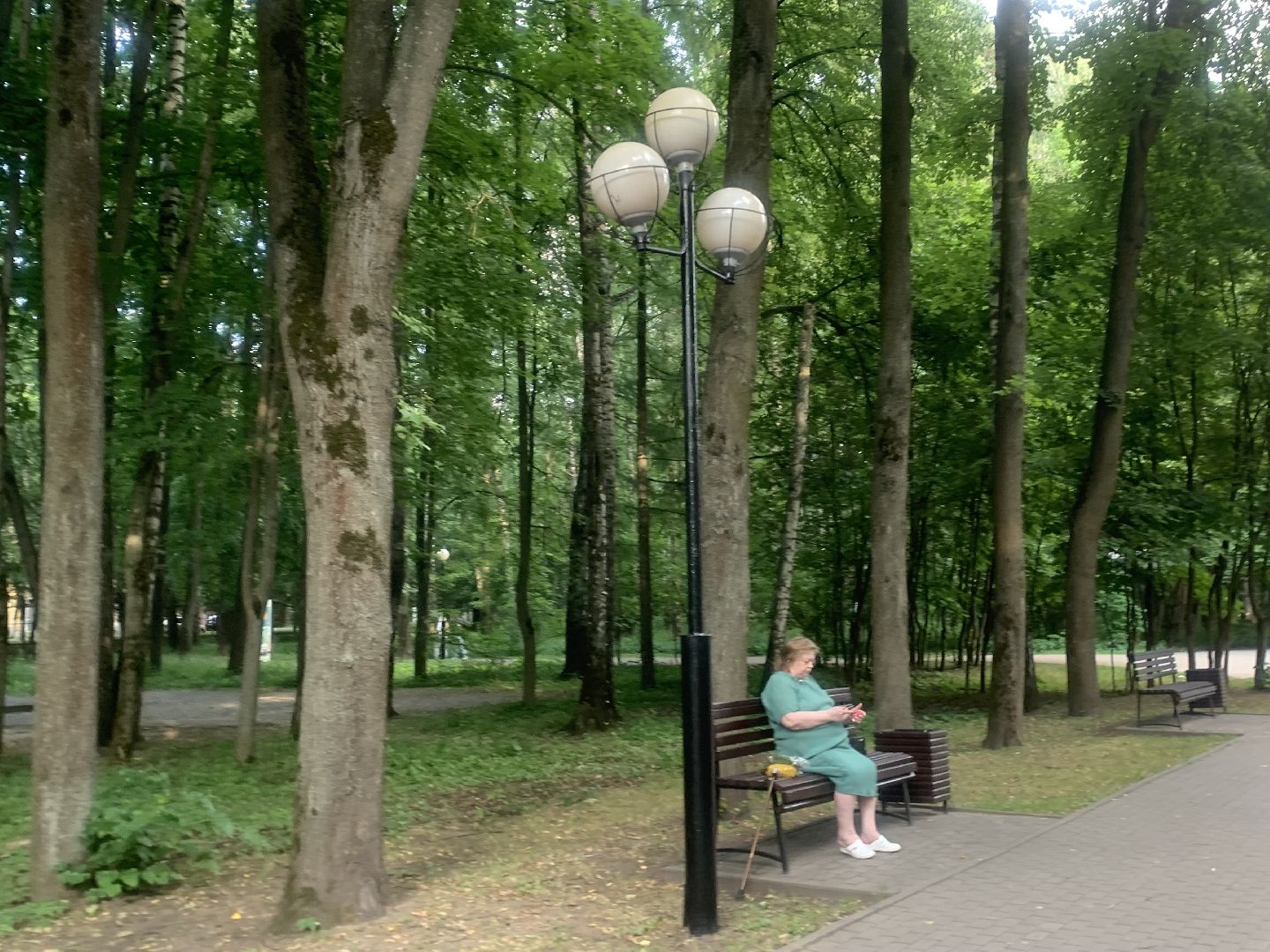 Парки, благоустройство, лето в подмосковье,Городской парк