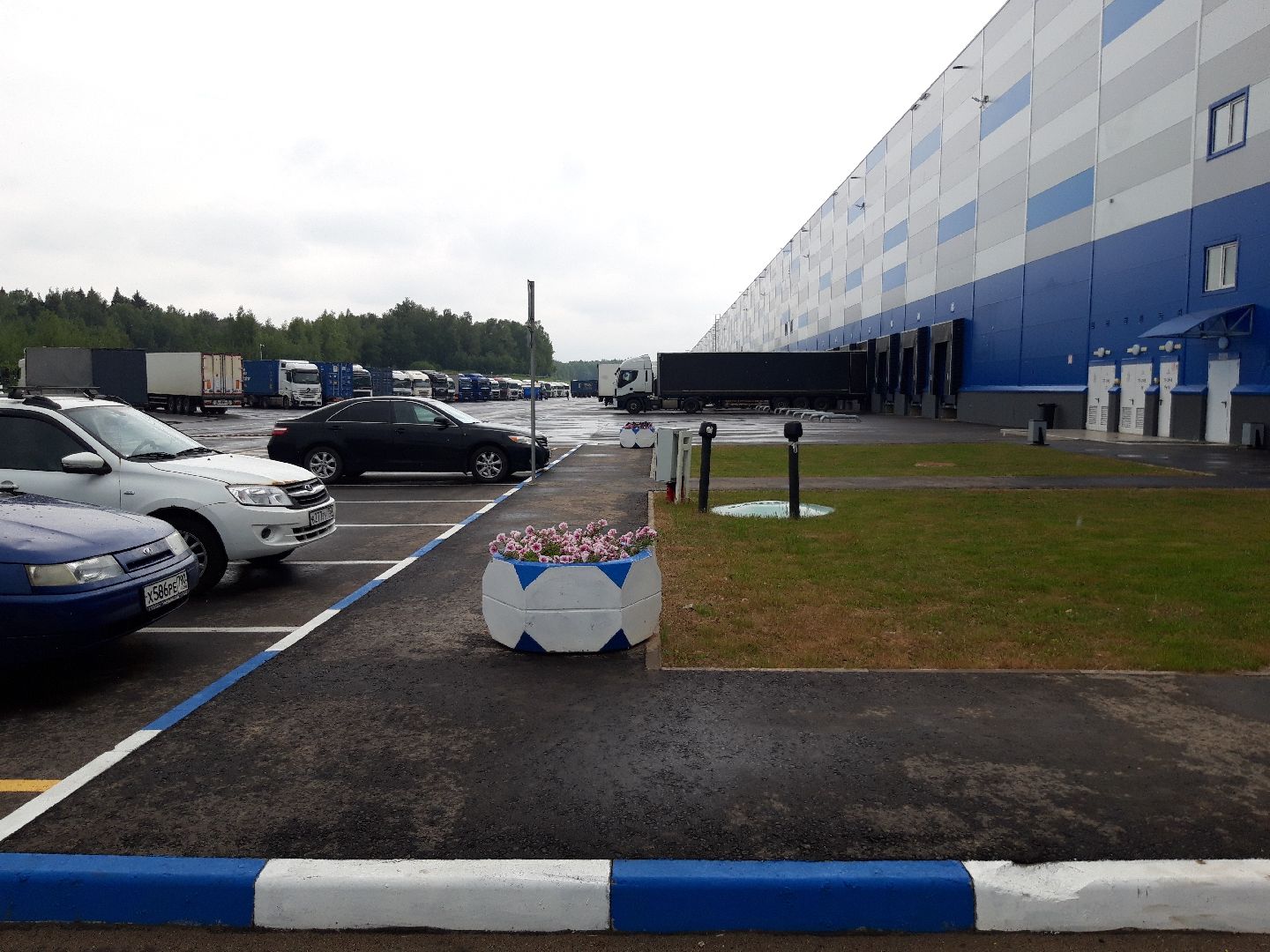 помощь людям, разработка, рынок,