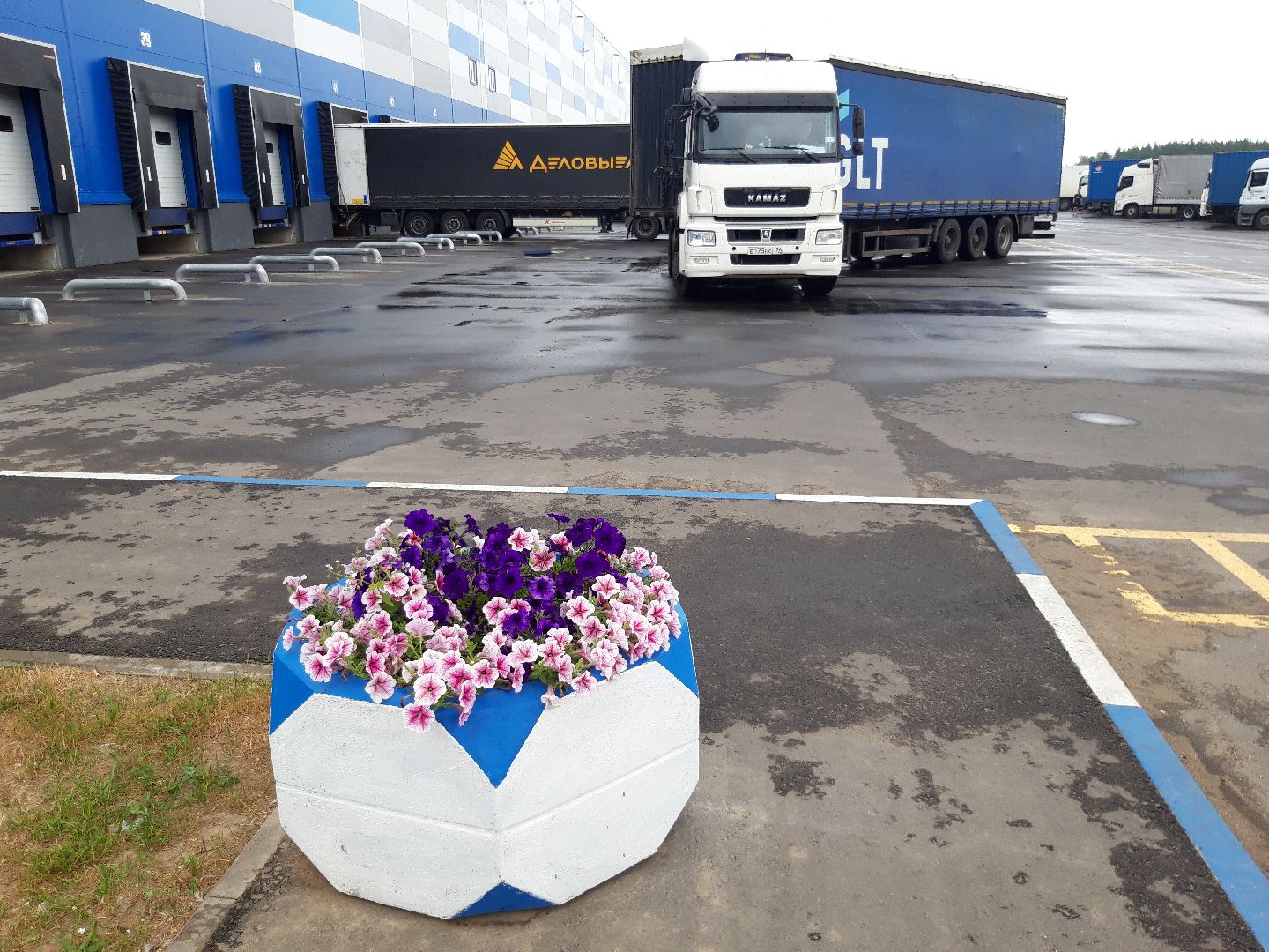 помощь людям, разработка, рынок,