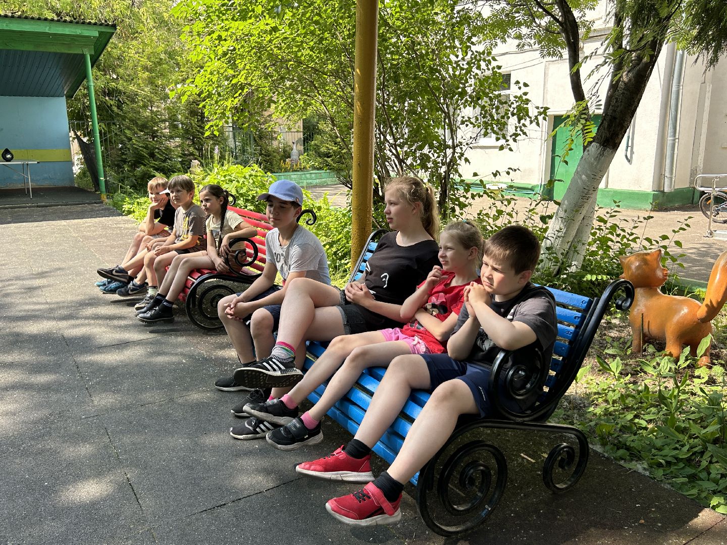 экология, дети, волонтёры, Фрязино