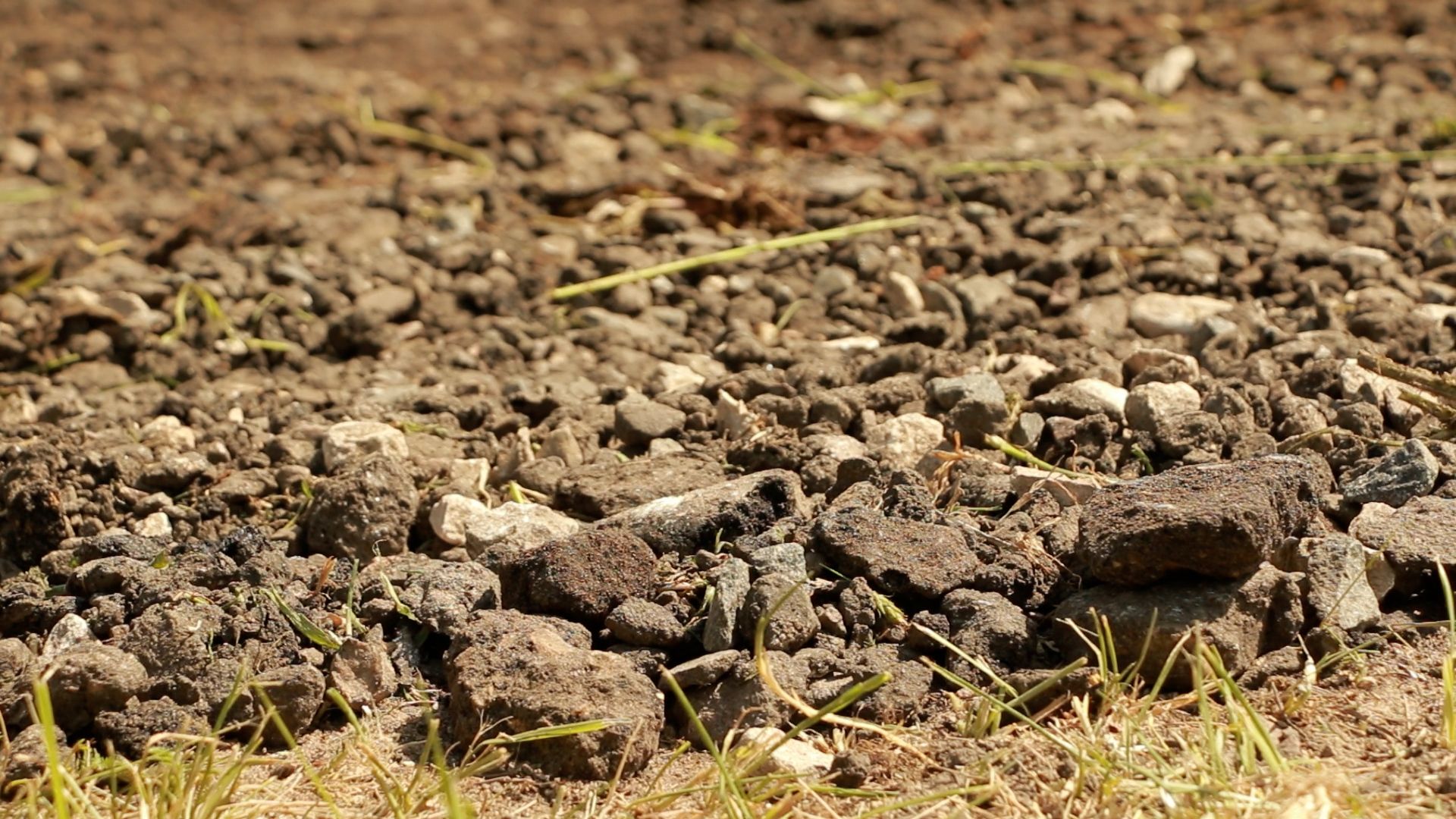 Солнечногорск, дороги, ремонт, деревня, город