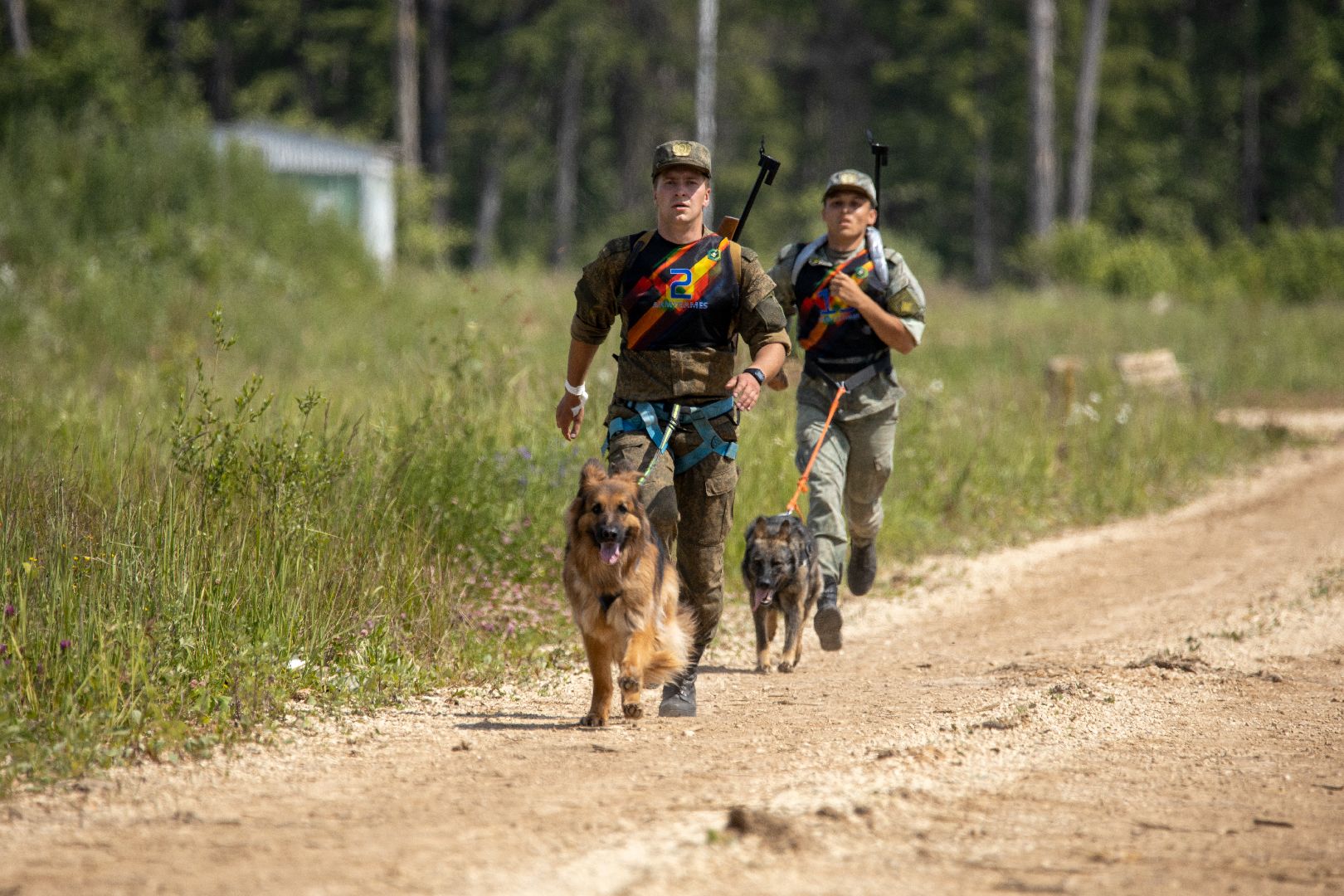 Можайск, Можайский городской округ, Подмосковье, армия, военнослужащие, кинологи, служебные собаки, конкурс
