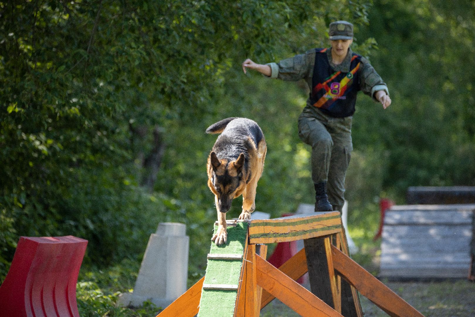 Можайск, Можайский городской округ, Подмосковье, армия, военнослужащие, кинологи, служебные собаки, конкурс