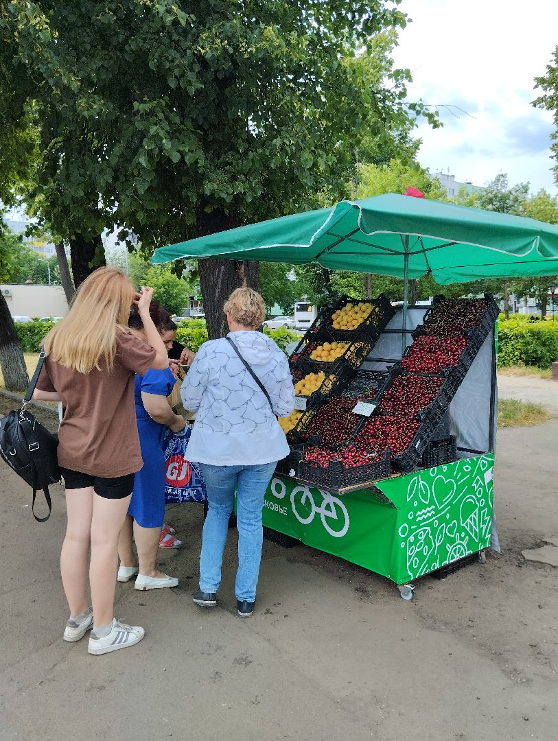 Сезонные ягоды, продажа, фрукты, Ногинск, Богородский городской округ