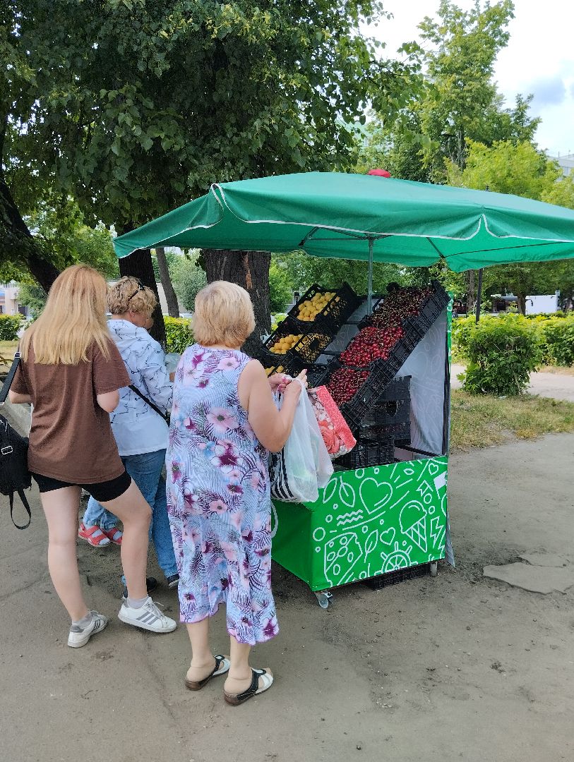 Сезонные ягоды, продажа, фрукты, Ногинск, Богородский городской округ