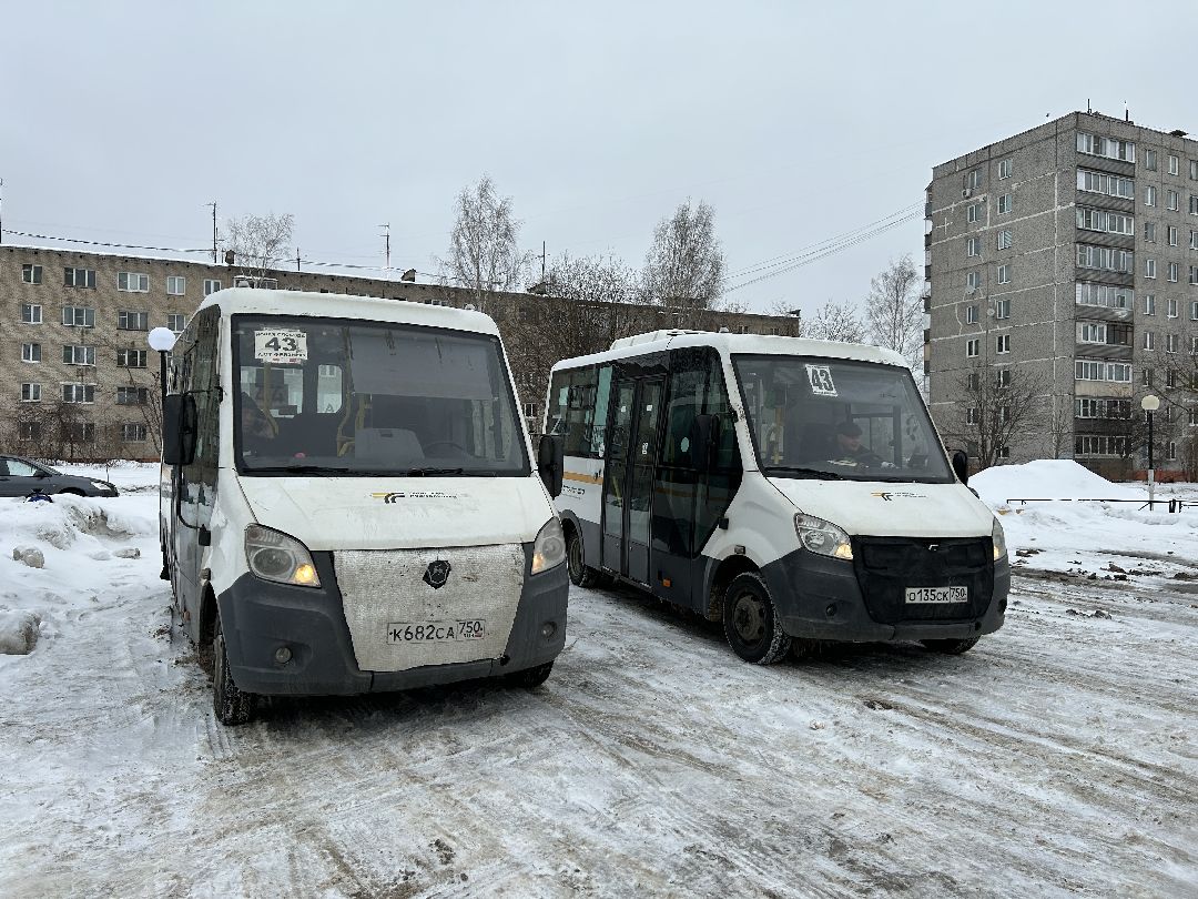 транспорт, автобусы, мониторинг, проверка, Фрязино