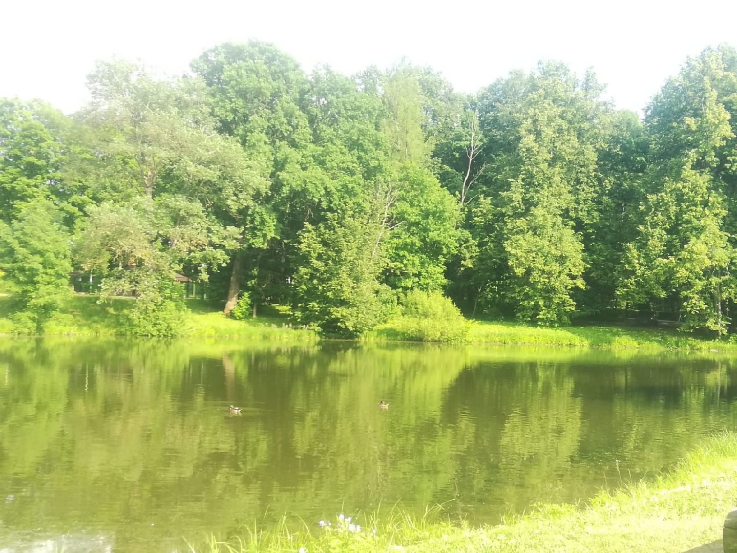 Звенигород кинематографический, места съемок