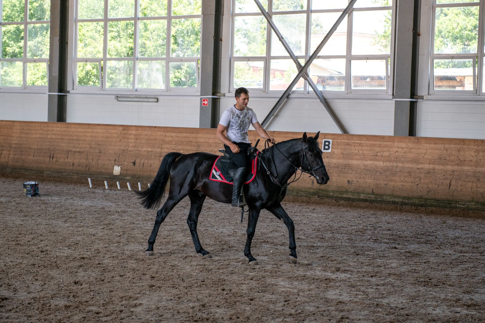 лыткарино, спорт, конный спорт, созидатель, конник,
