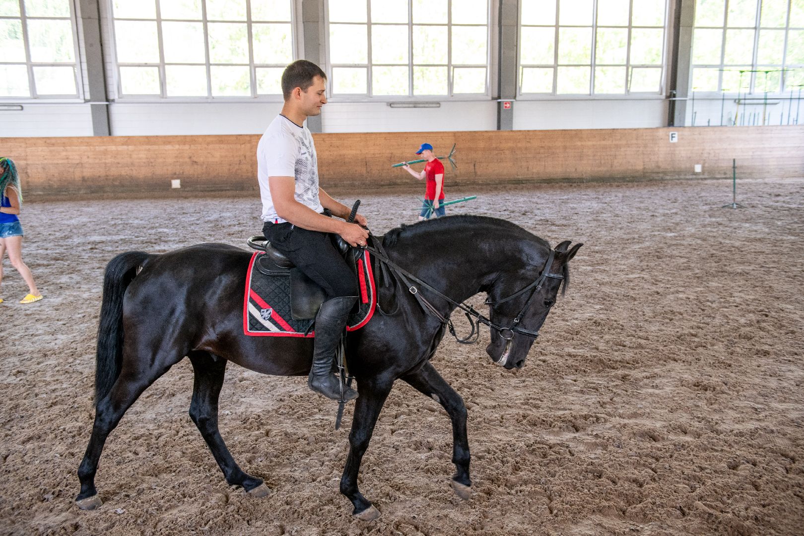 лыткарино, спорт, конный спорт, созидатель, конник,