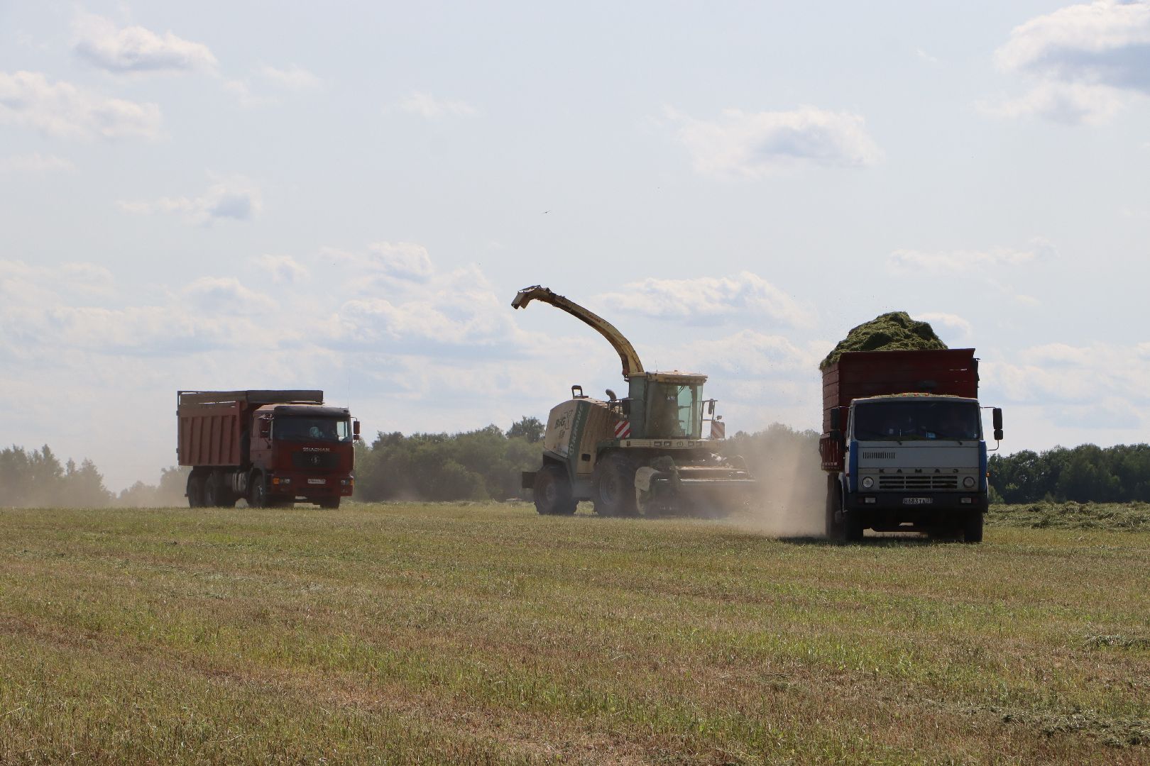 Серебряные Пруды, Сельское хозяйство