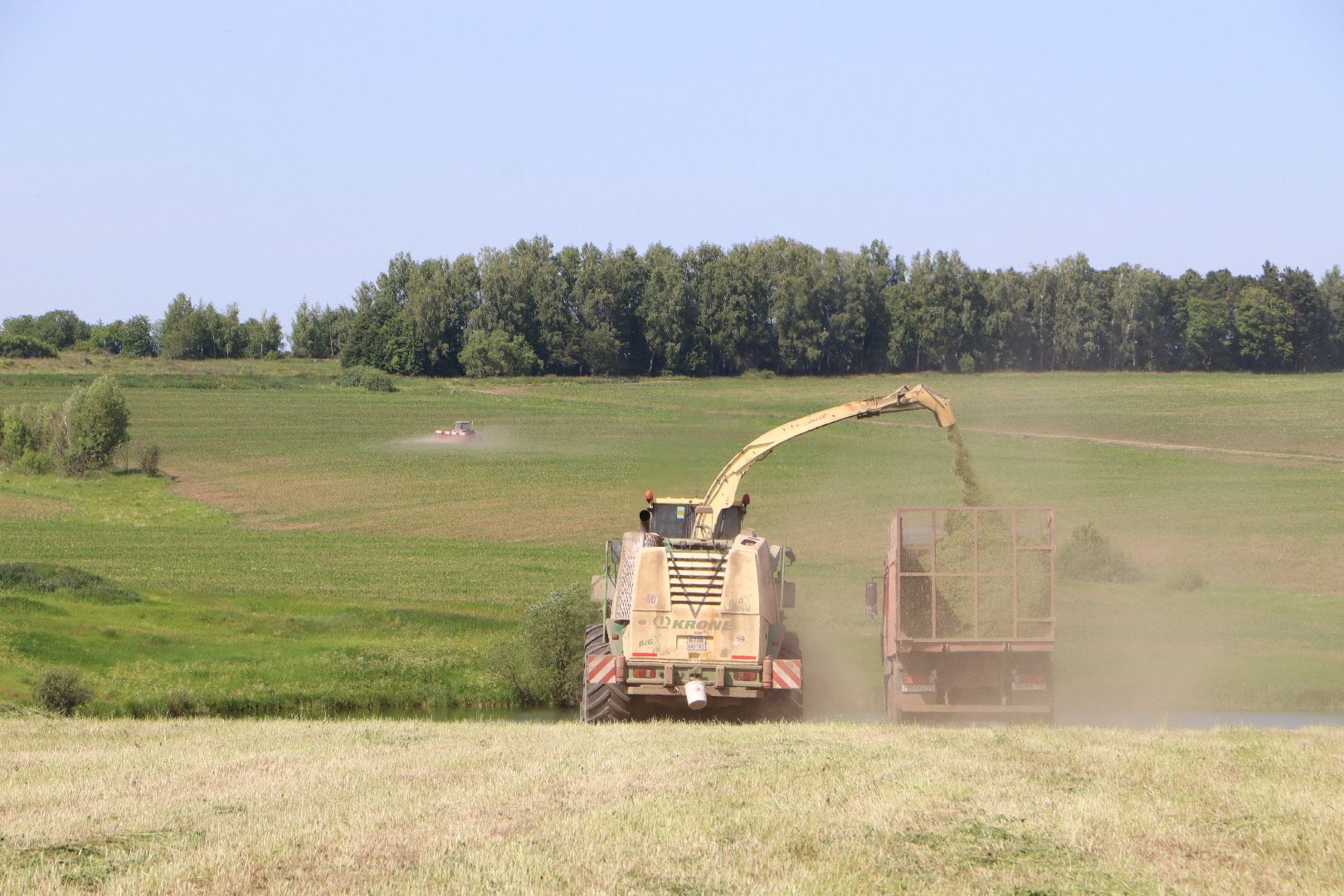 Серебряные Пруды, Сельское хозяйство