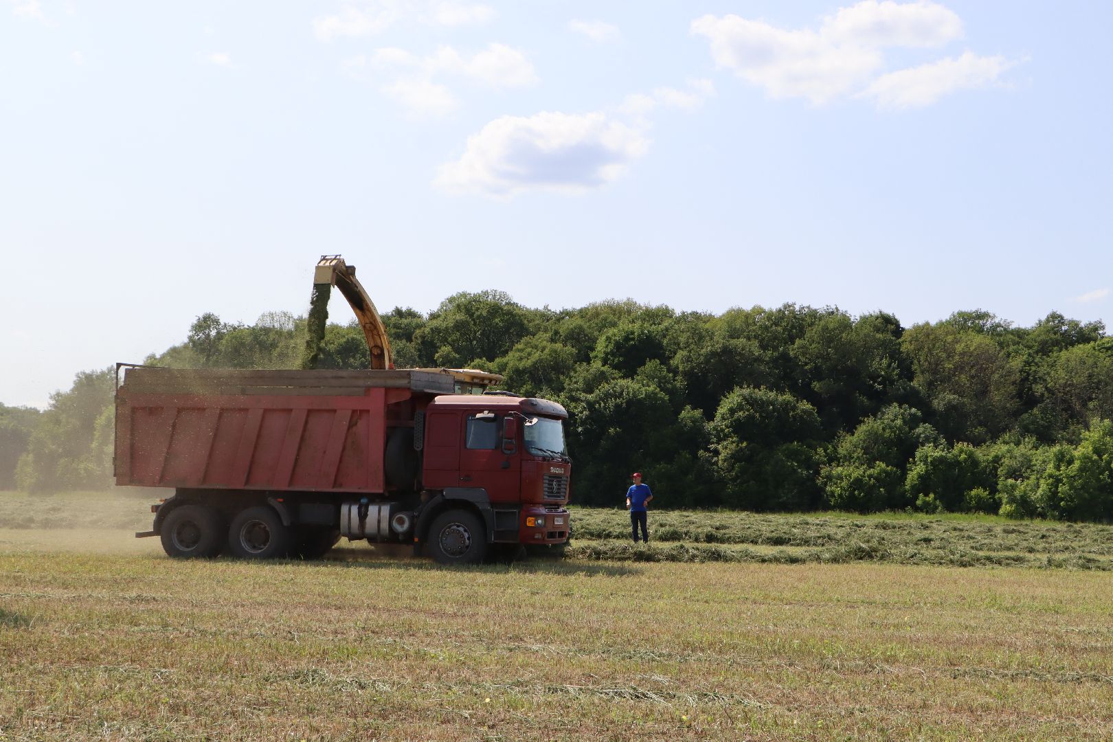Серебряные Пруды, Сельское хозяйство