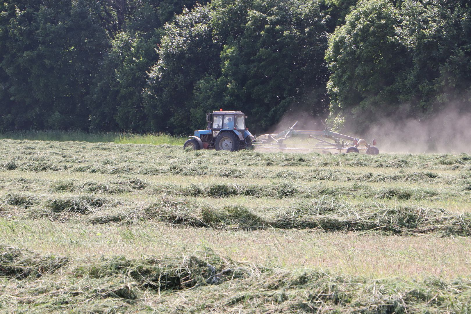 Серебряные Пруды, Сельское хозяйство