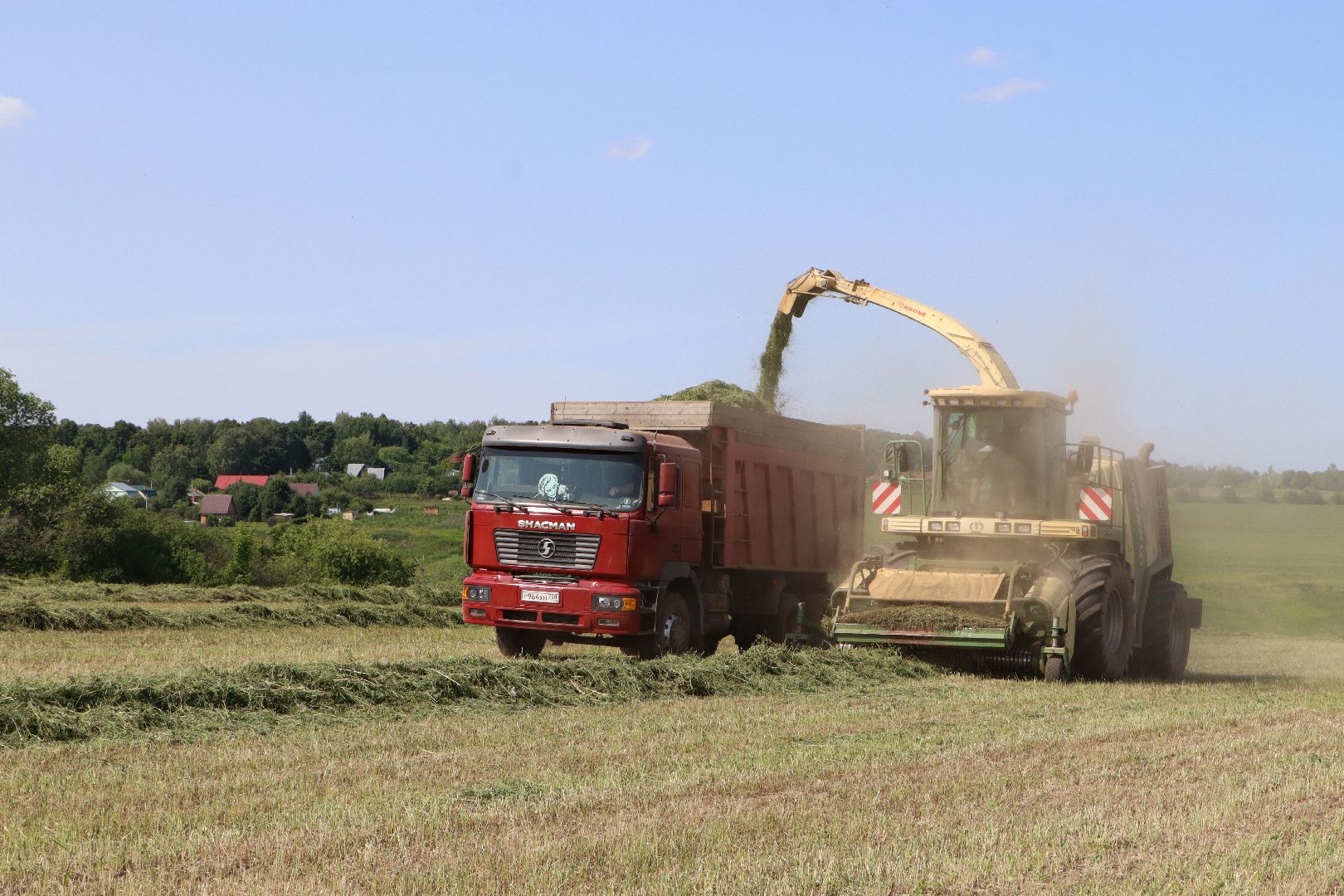 Серебряные Пруды, Сельское хозяйство