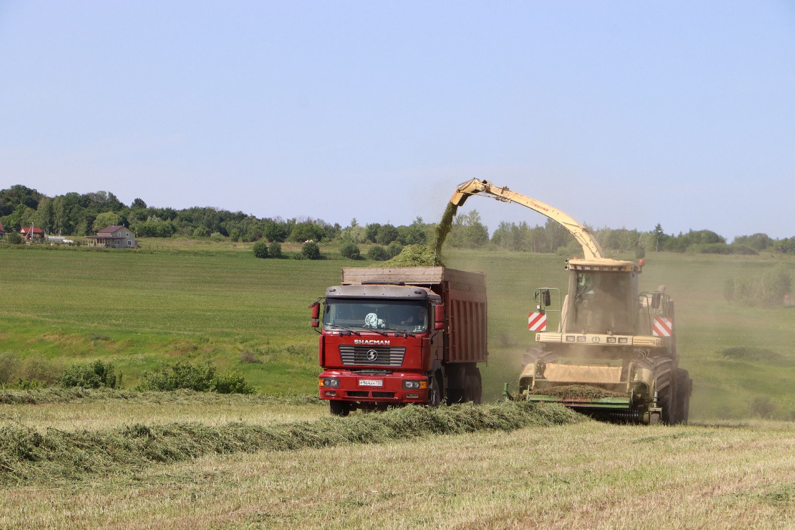 Серебряные Пруды, Сельское хозяйство