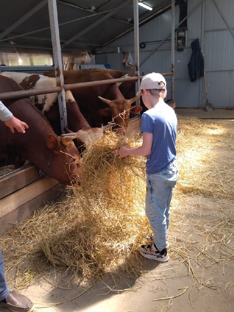 Наро-Фоминск, фермер Джаппуев, экономика Подмосковья, экскурсия на ферму