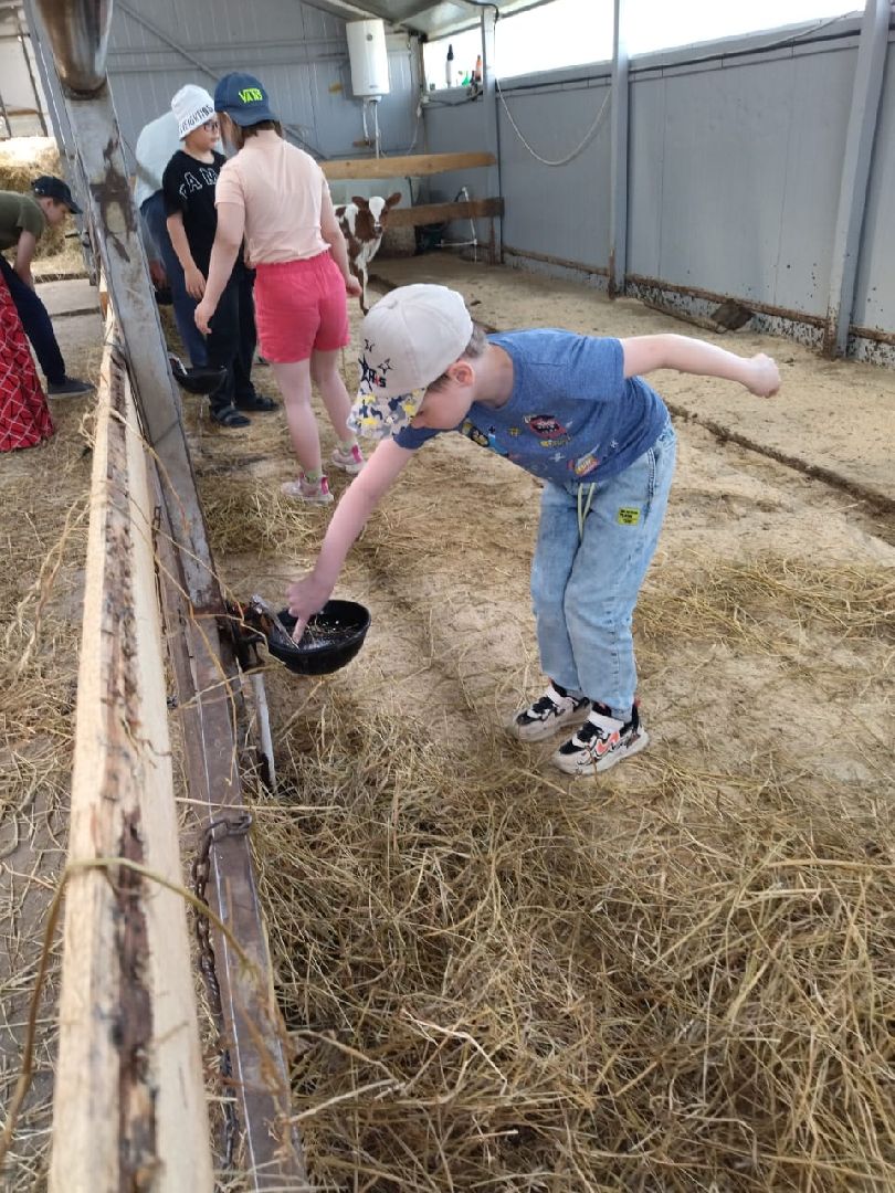 Наро-Фоминск, фермер Джаппуев, экономика Подмосковья, экскурсия на ферму