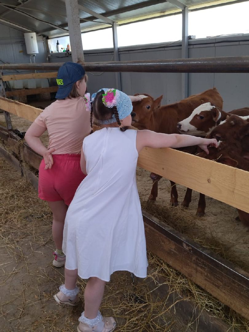 Наро-Фоминск, фермер Джаппуев, экономика Подмосковья, экскурсия на ферму