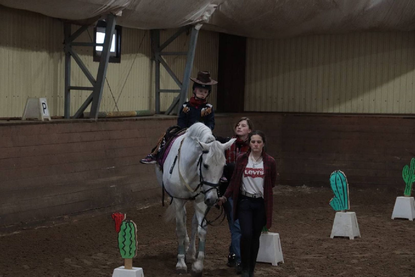 иппотерапия, параспорт, КСК, Котельники