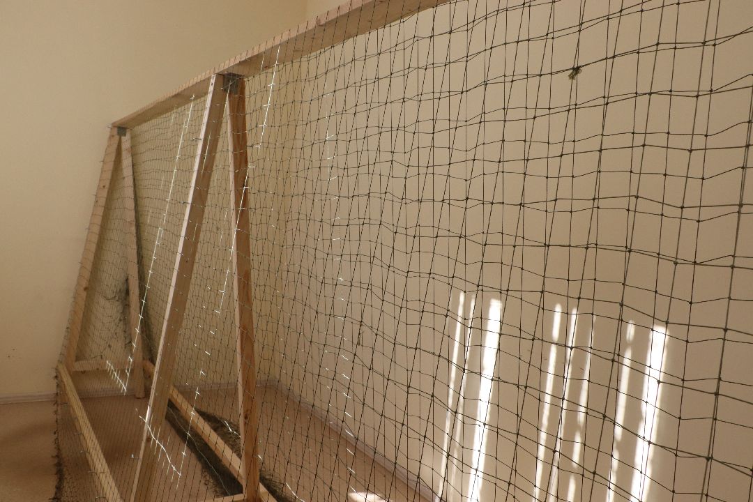 волонтеры, Серебряные Пруды, СВО