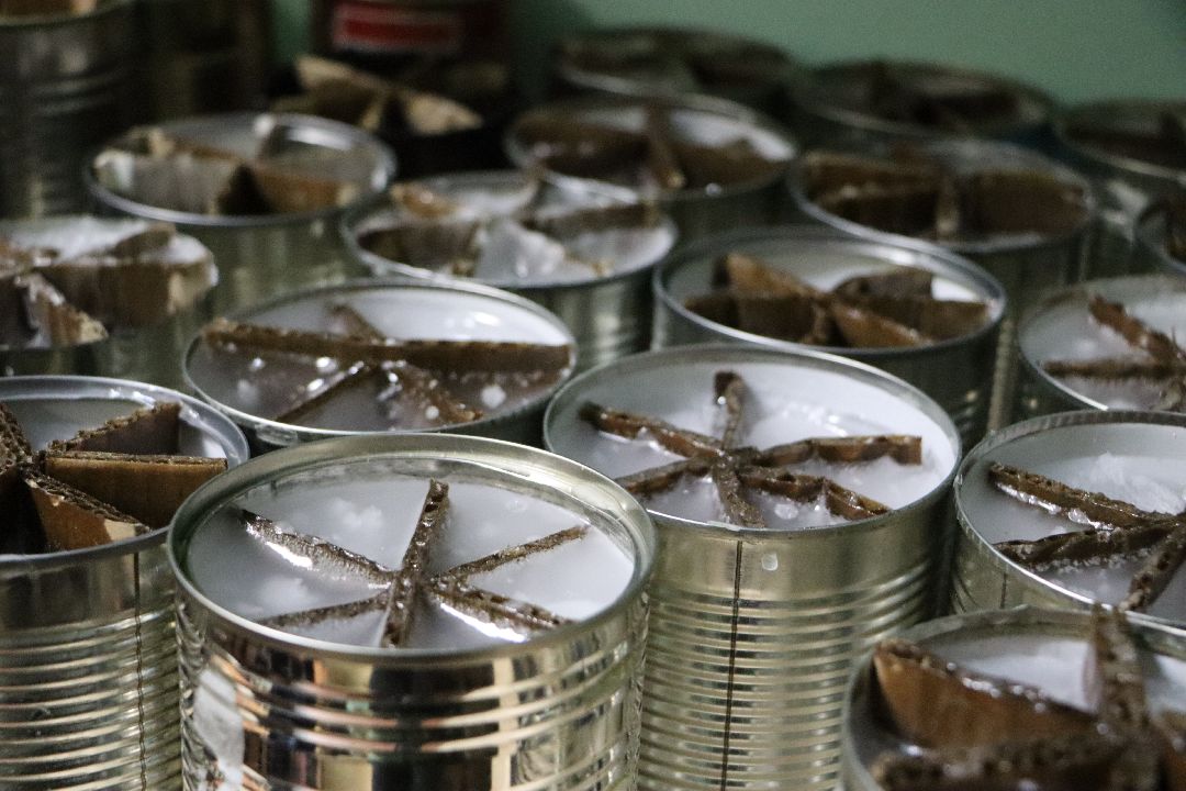 волонтеры, Серебряные Пруды, СВО