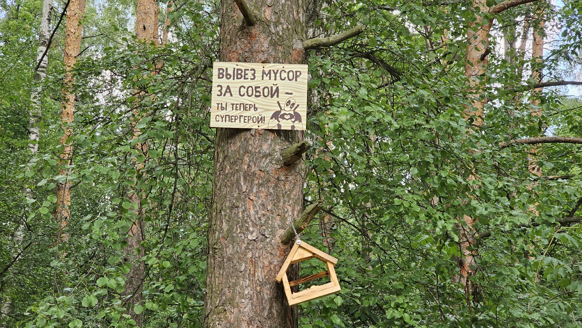 Кузьминский лесопарк, уборка мусора, Котельники