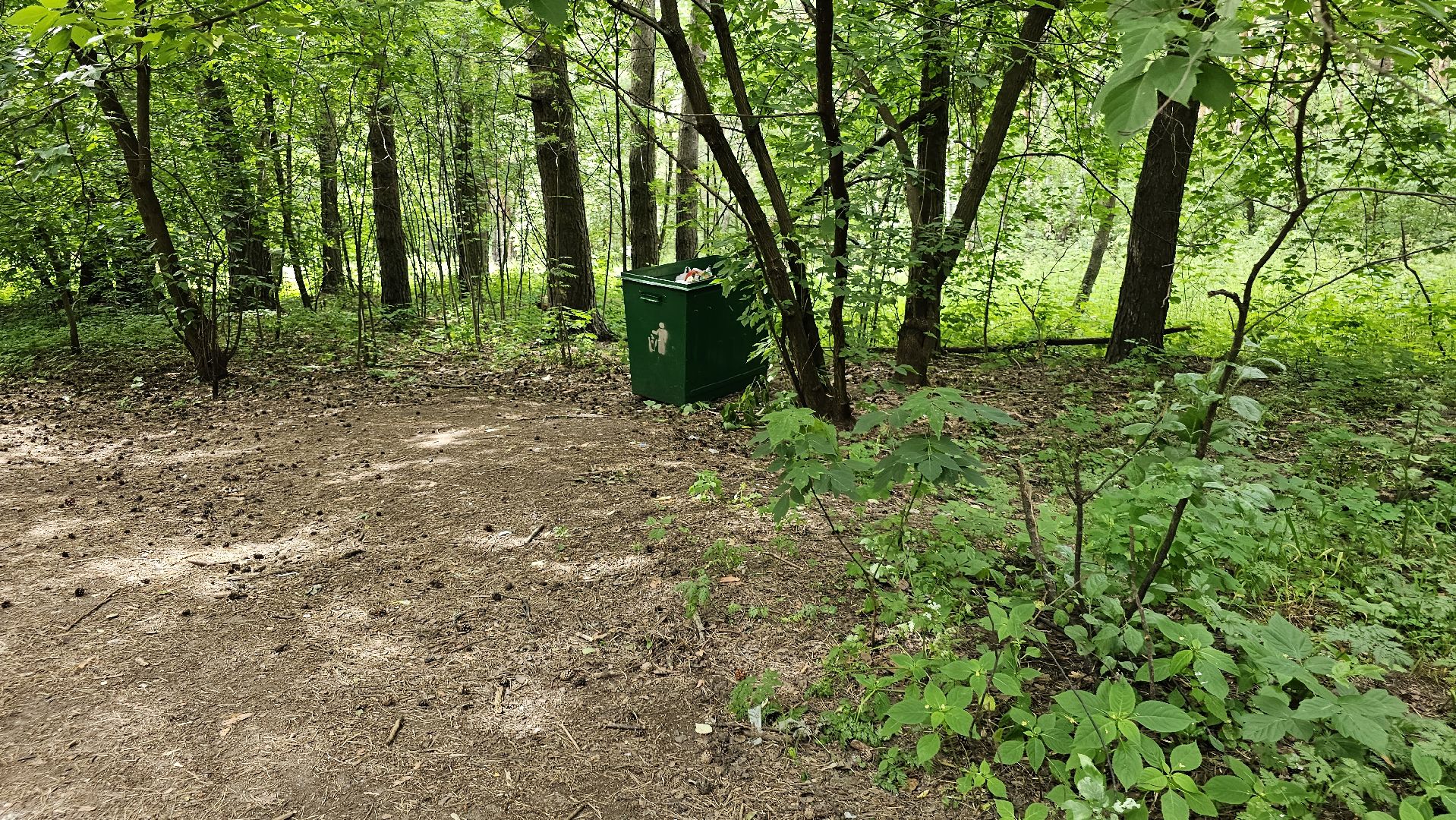 Кузьминский лесопарк, уборка мусора, Котельники