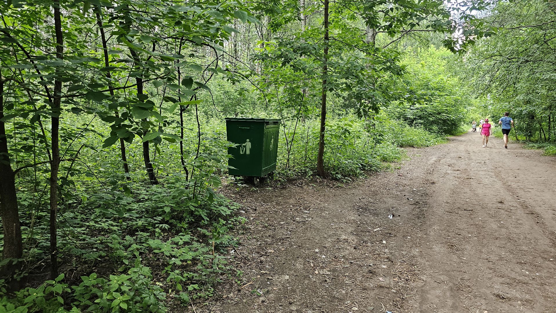 Кузьминский лесопарк, уборка мусора, Котельники