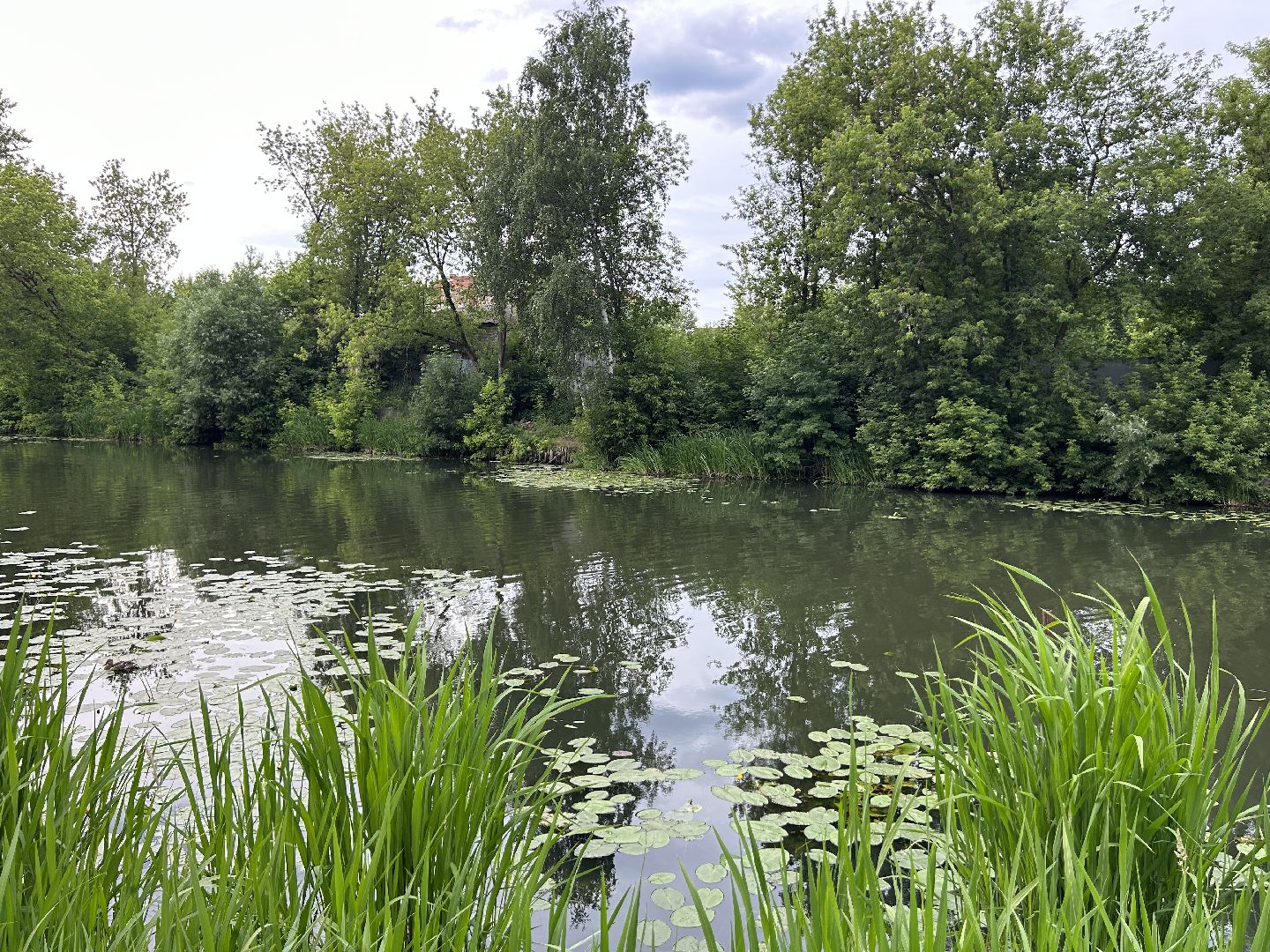 река, Клязьма, Щёлково