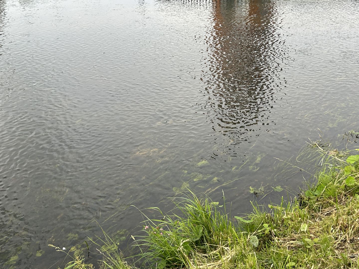 река, Клязьма, Щёлково