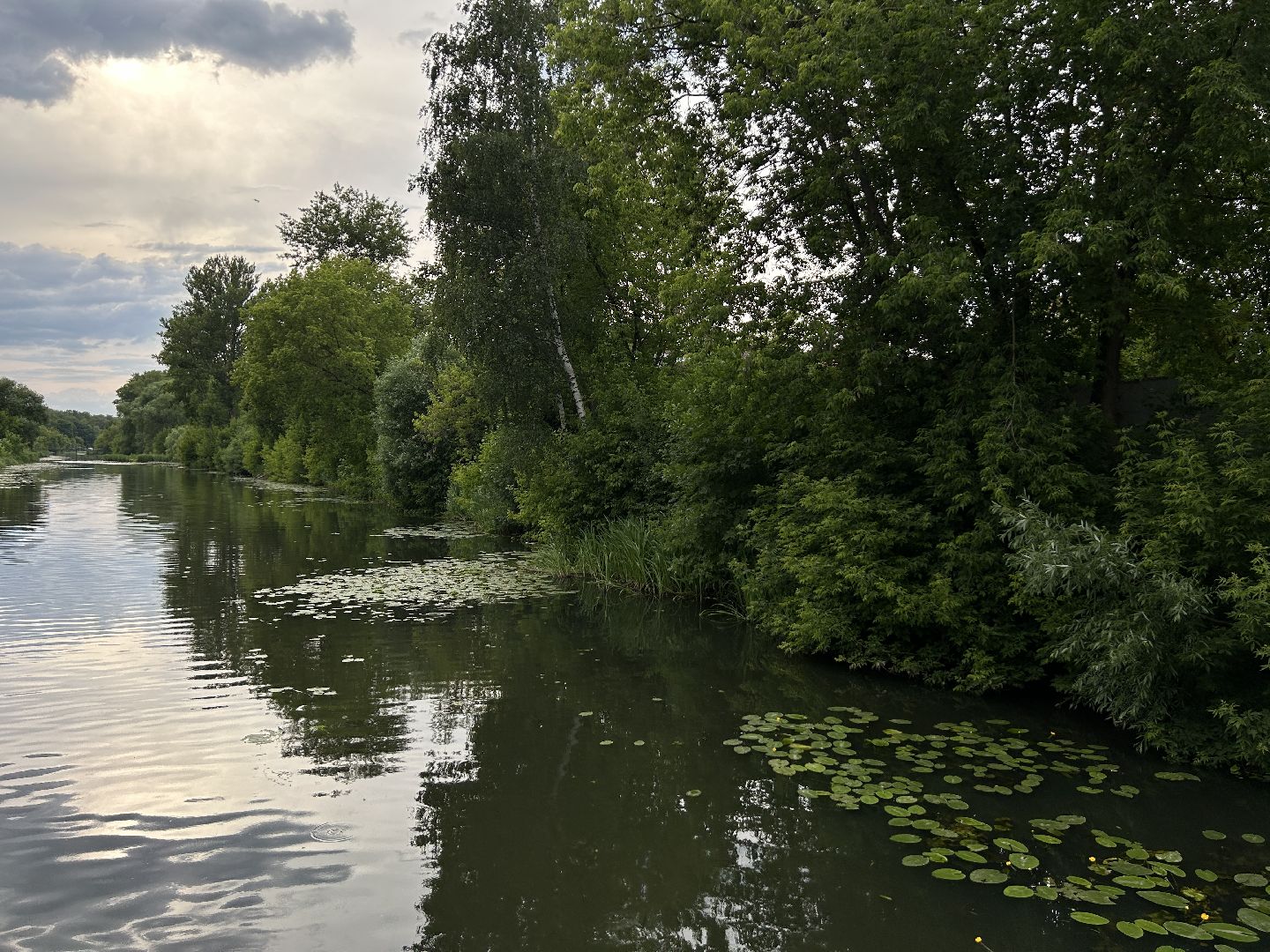 река, Клязьма, Щёлково