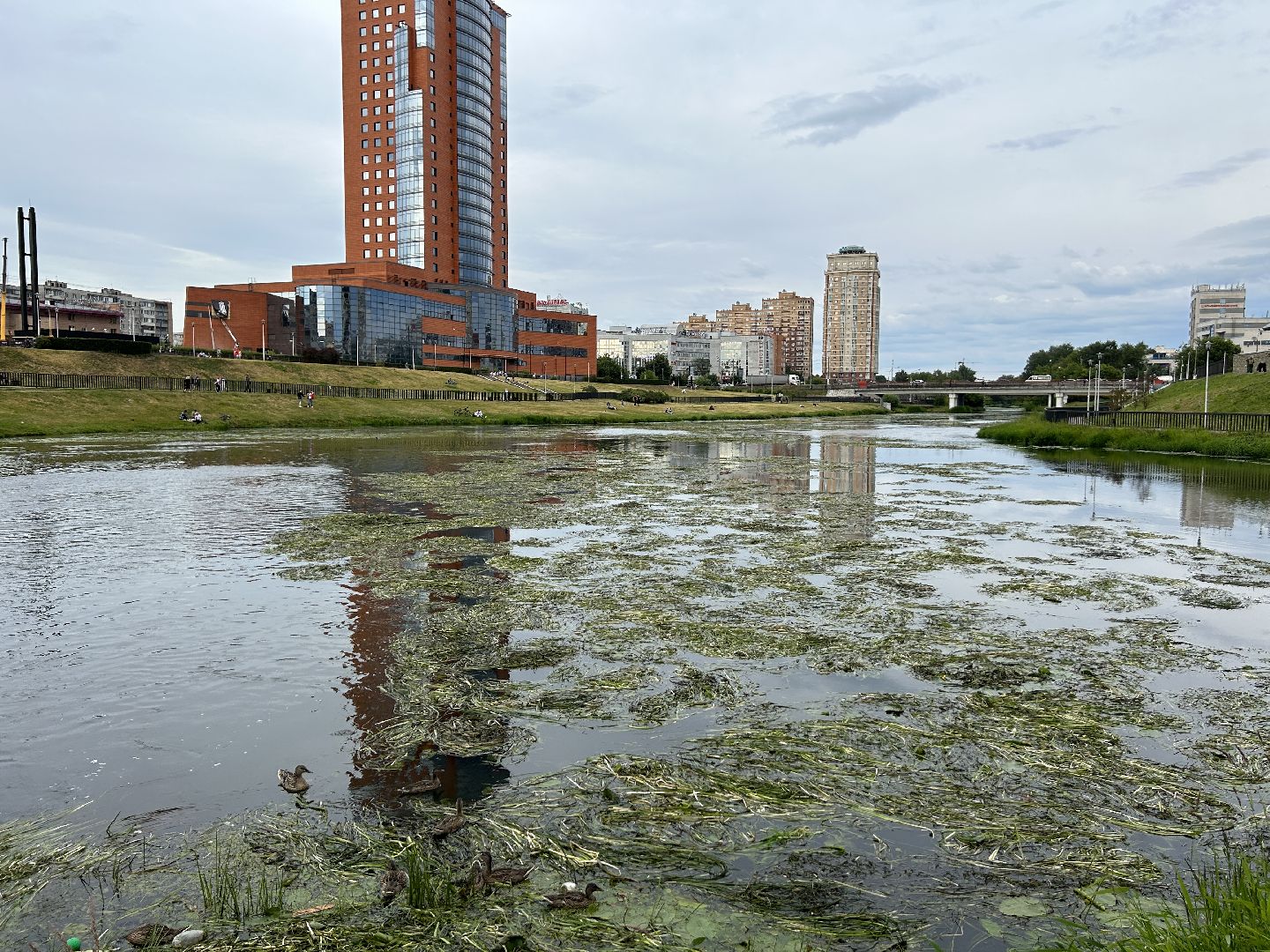 река, Клязьма, Щёлково