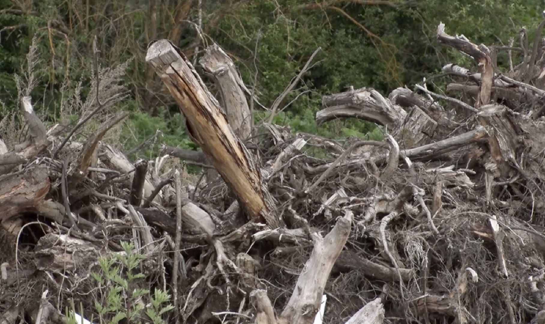 Клин, общество, экология, свалки