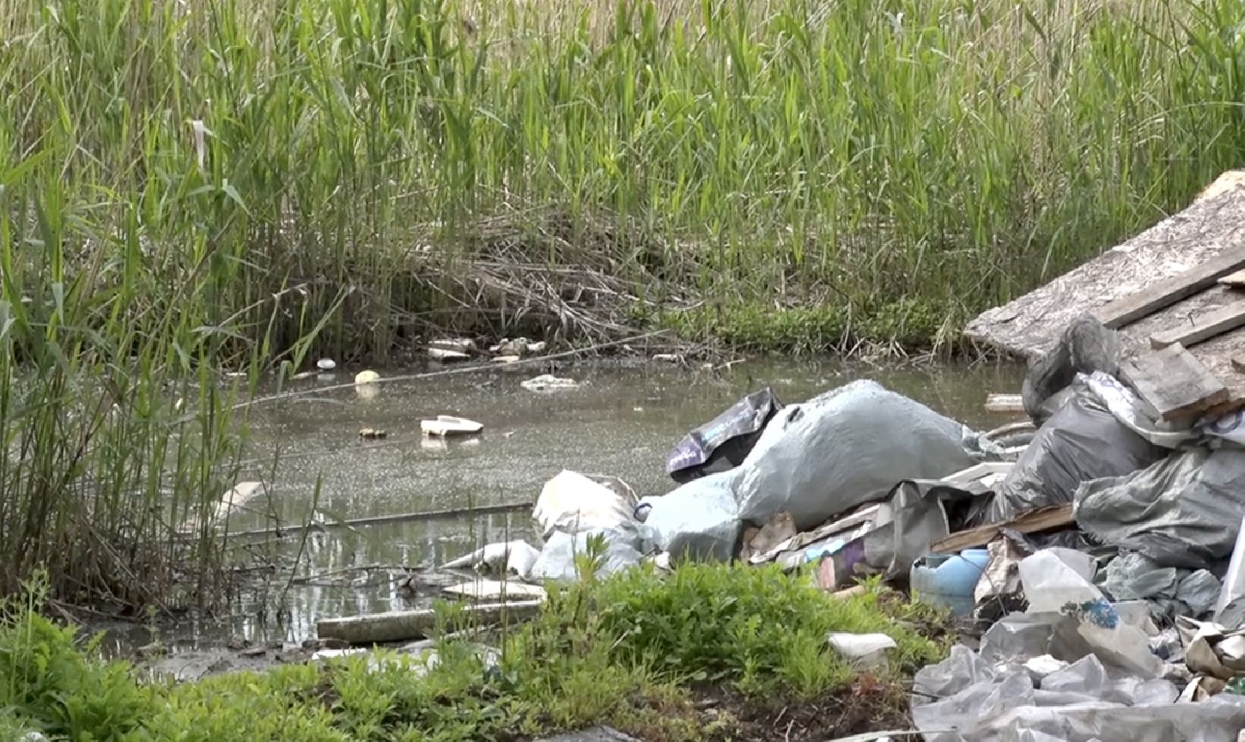 Клин, общество, экология, свалки